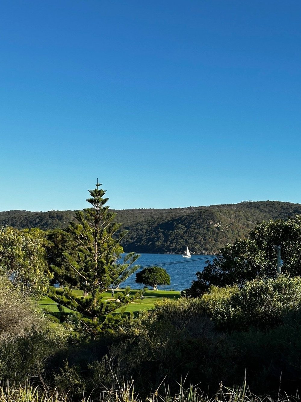 Governor Philip Park Pittwater outlook