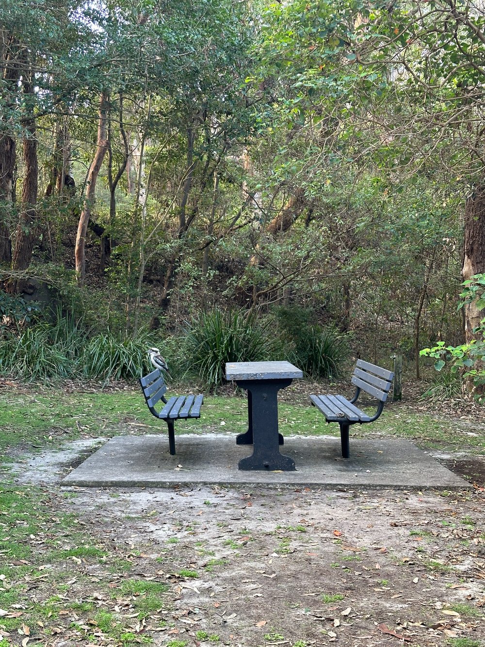 One of the picnic tables near The Castle