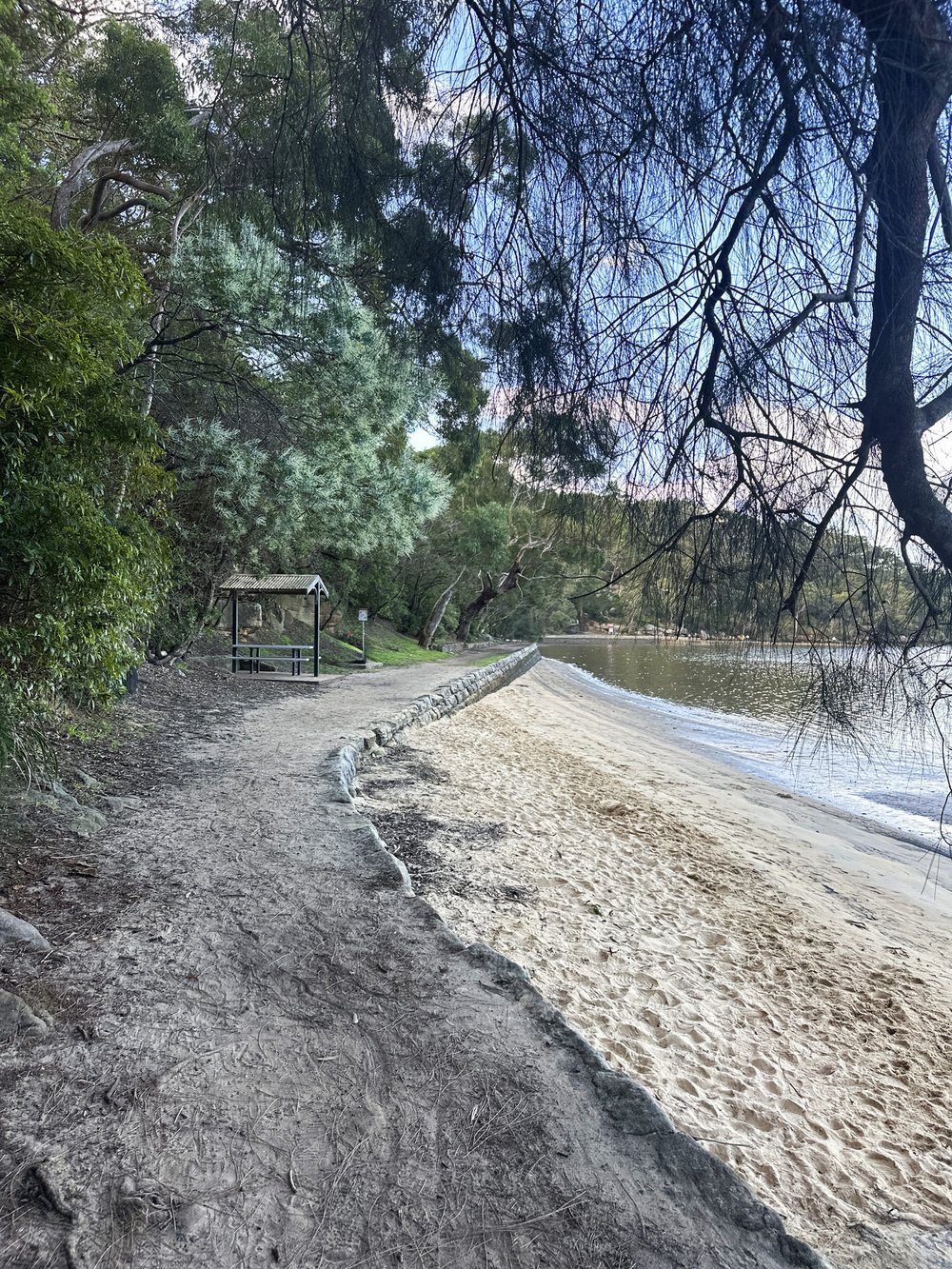 Take this trail to Oatley Park.jpeg