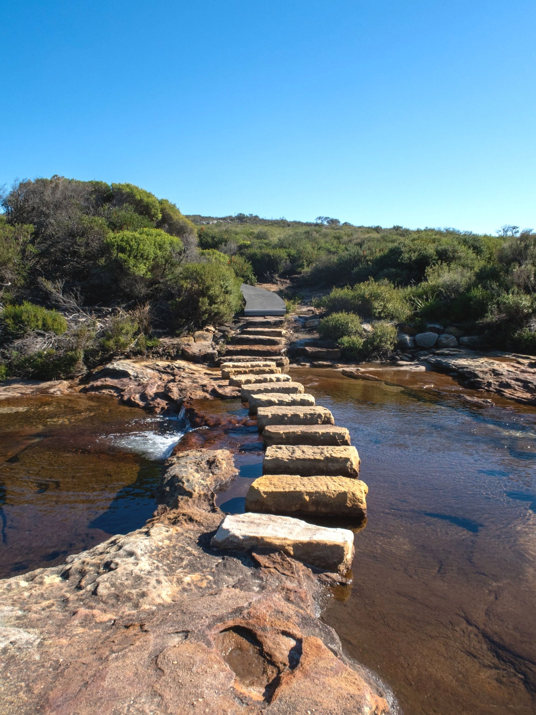Wattamolla+to+Eagle+Rock+RNP-24.jpg