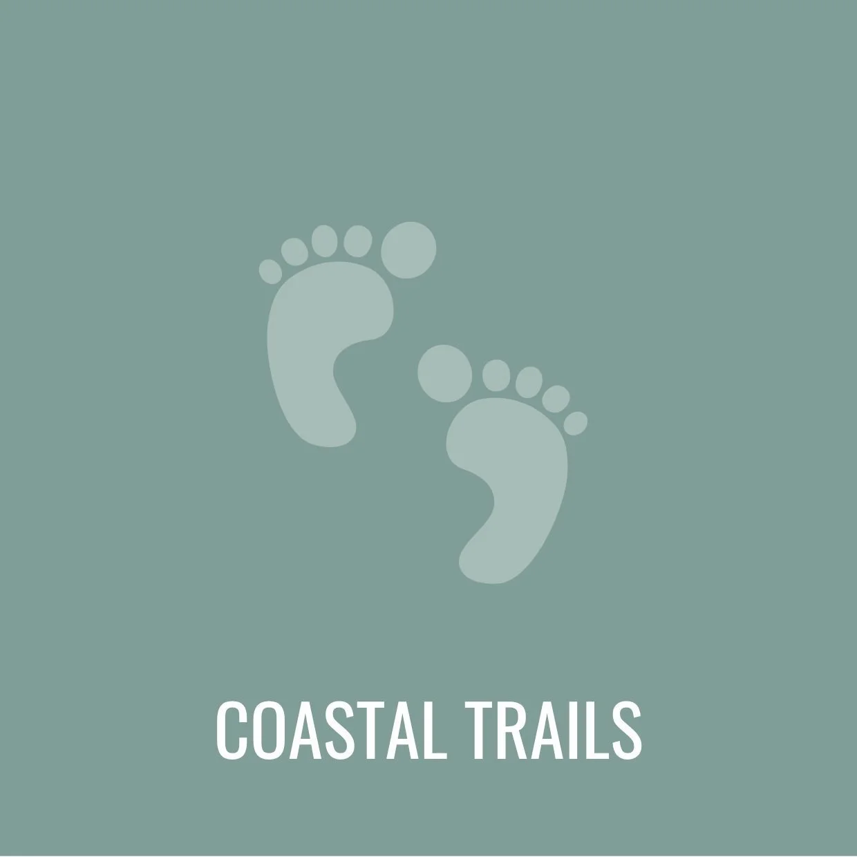 Coastal Walks