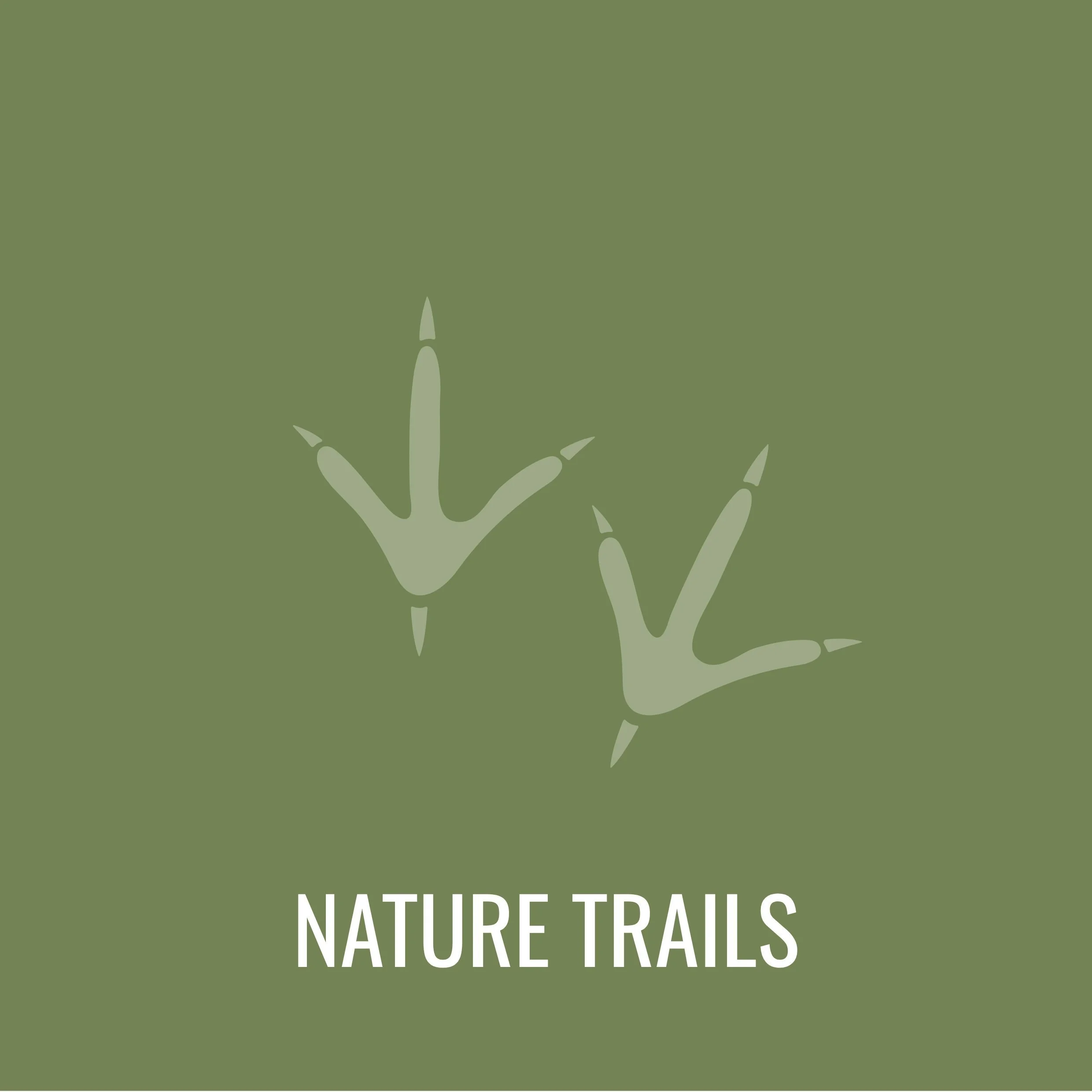 Bush Walkshttps://incsyd.squarespace.com/coastal-walks