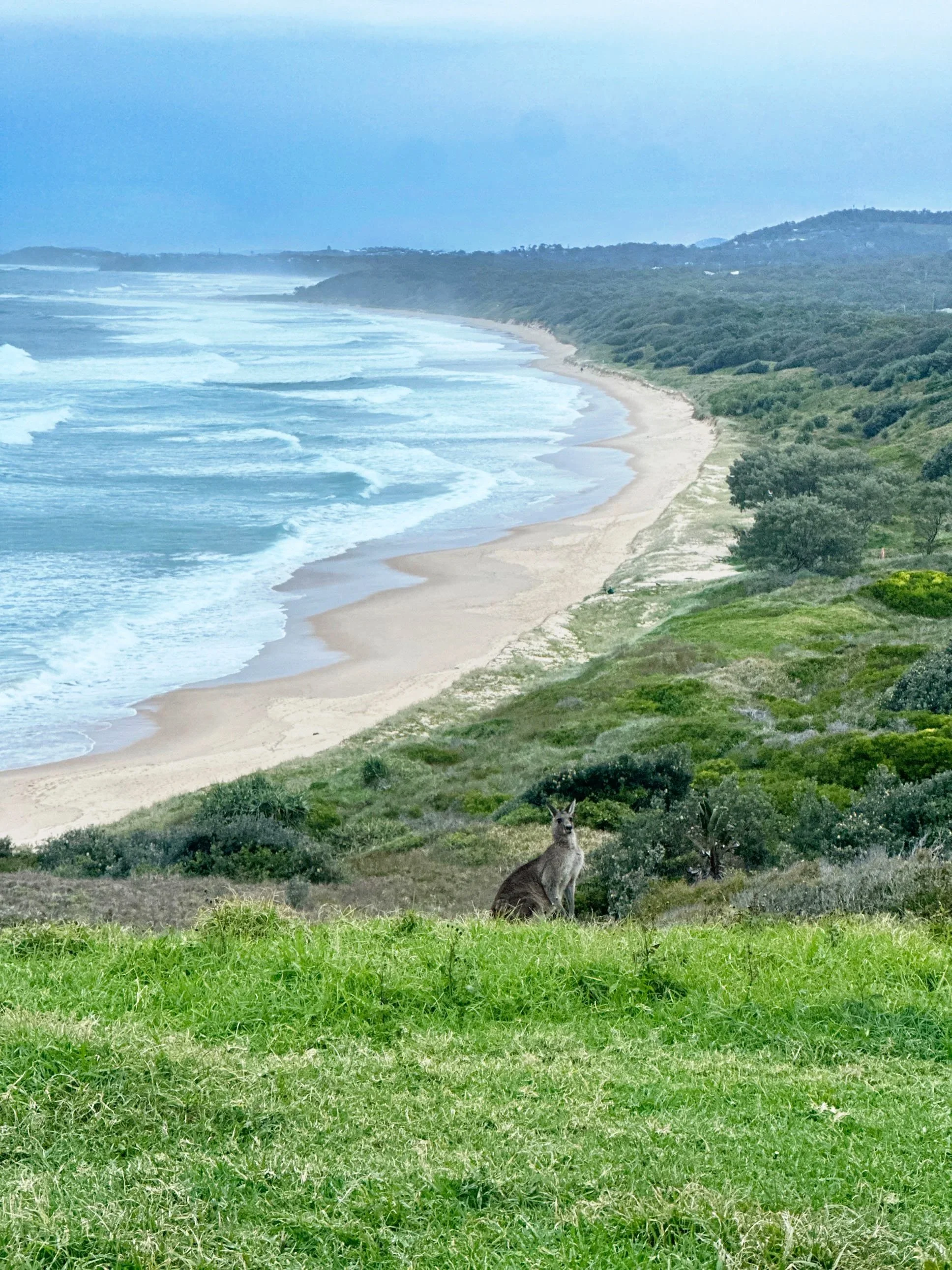 Woolgoolga Headland Walk