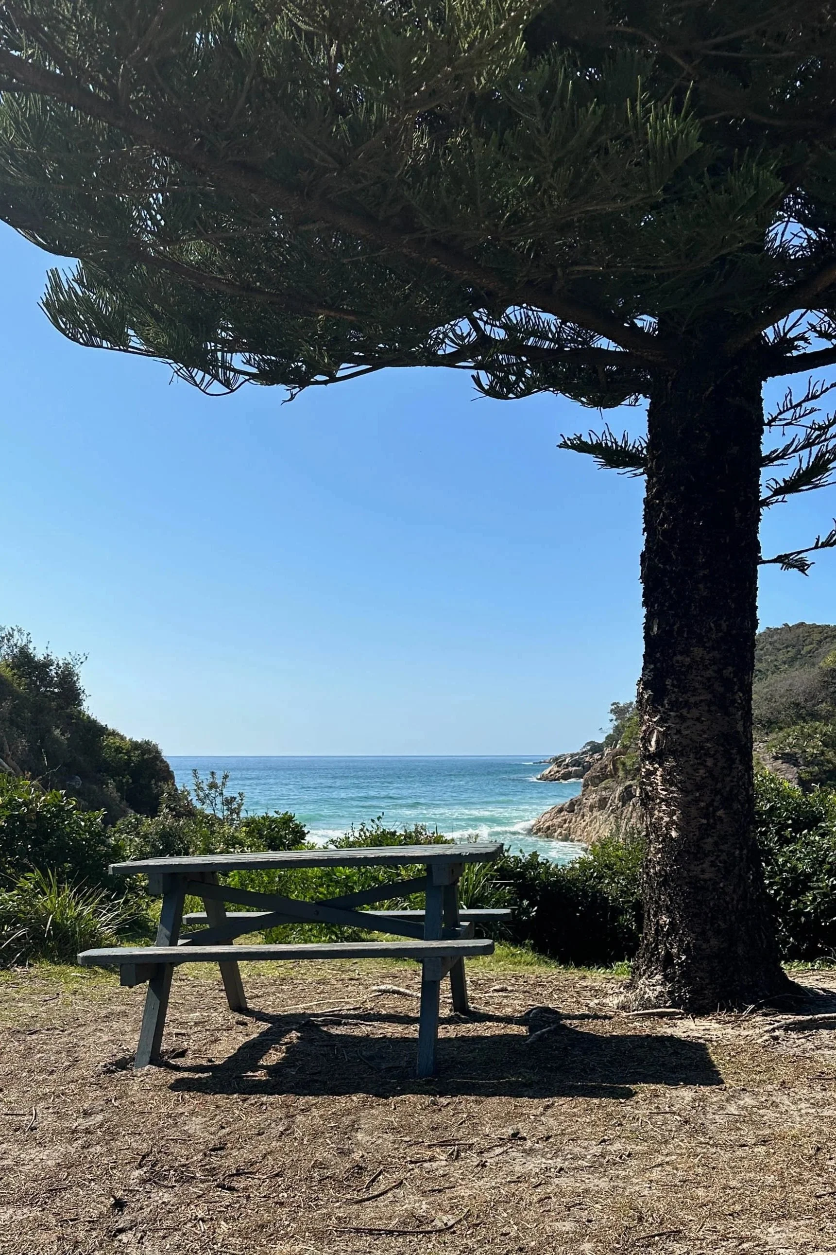 Little+Bay+Picnic+Area++-+South+West+Rocks.jpg