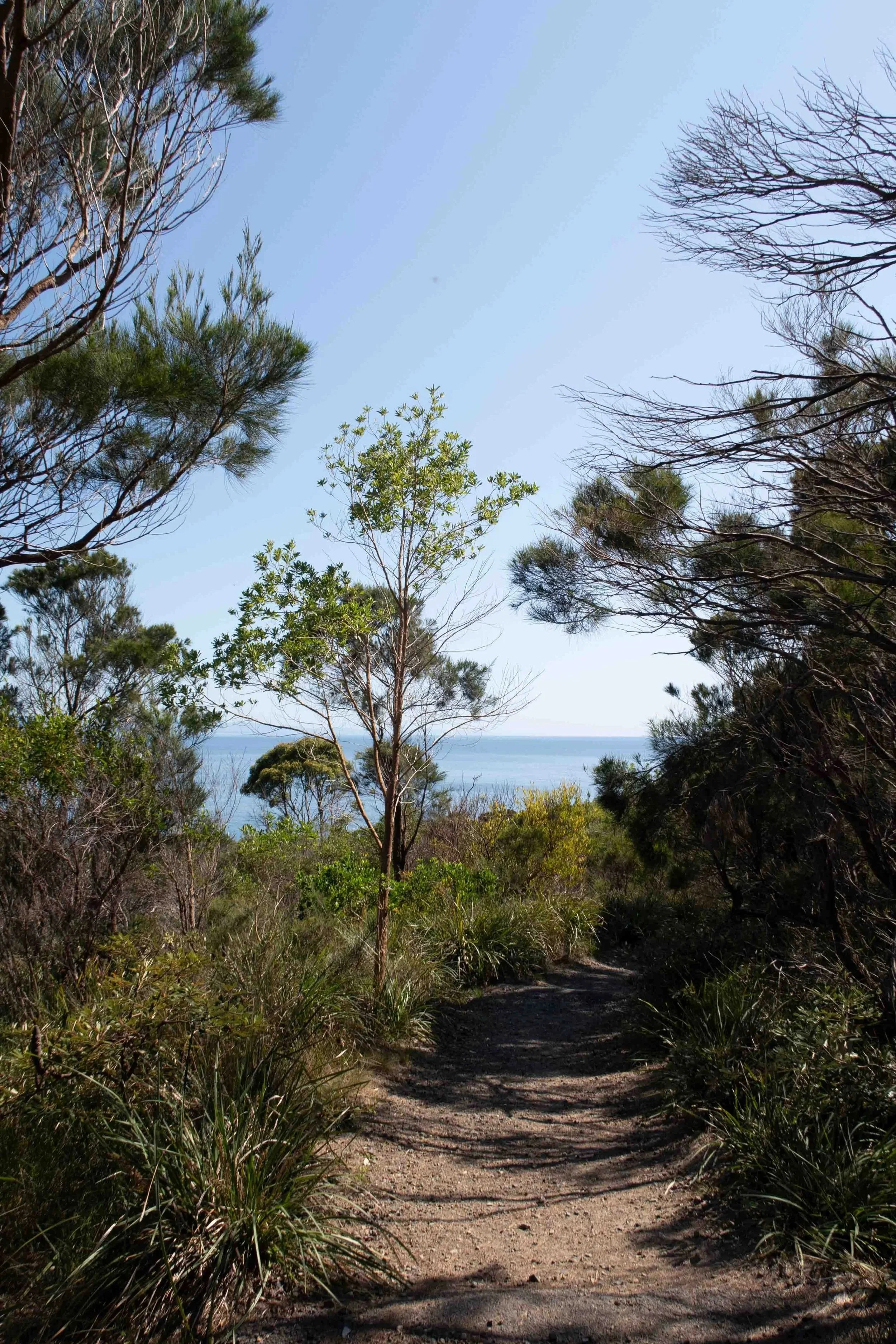 Monument+Hill+Loop+Walk+South+West+Rocks-10.jpg
