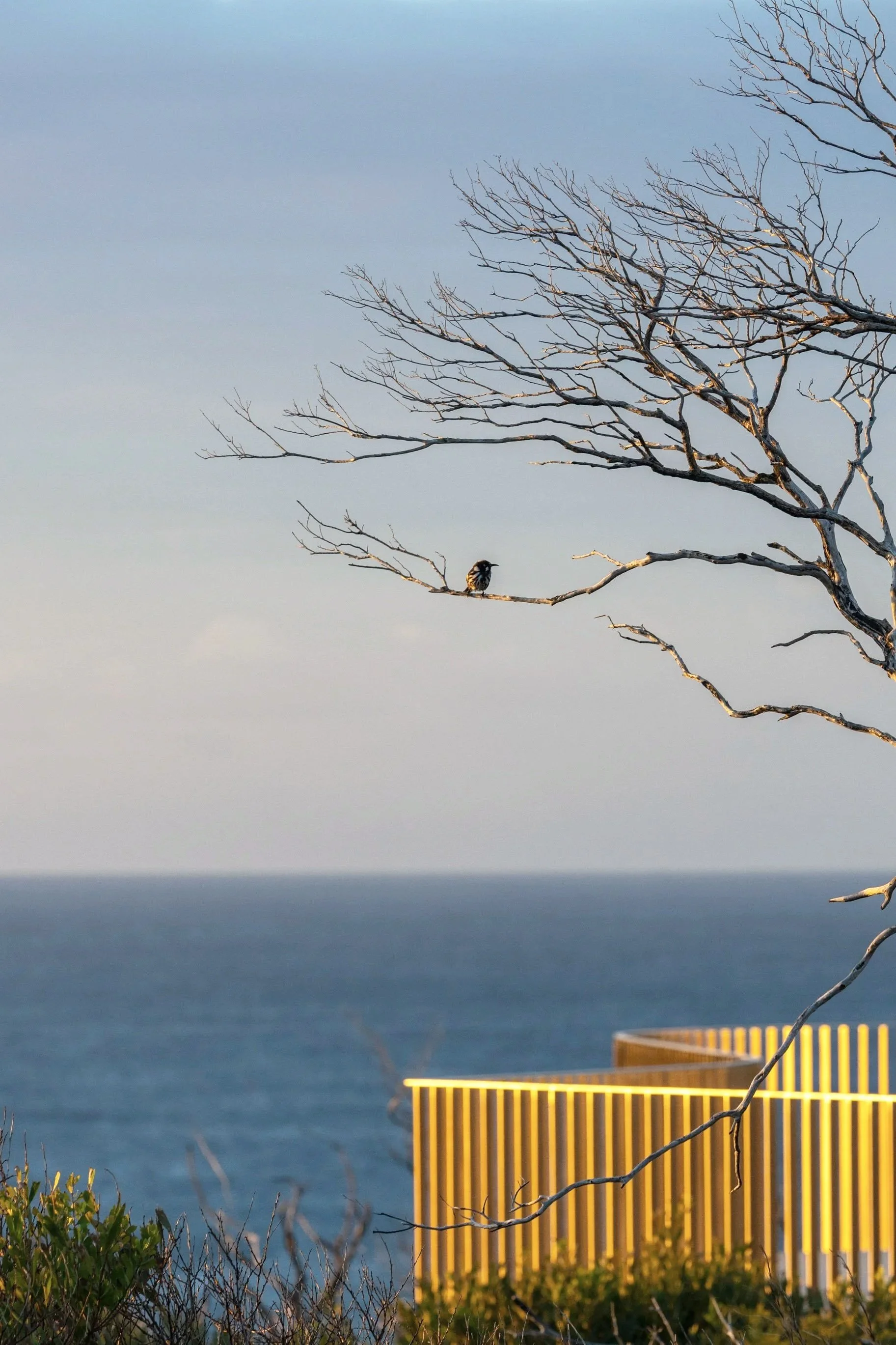 Fairfax Walk, North Head