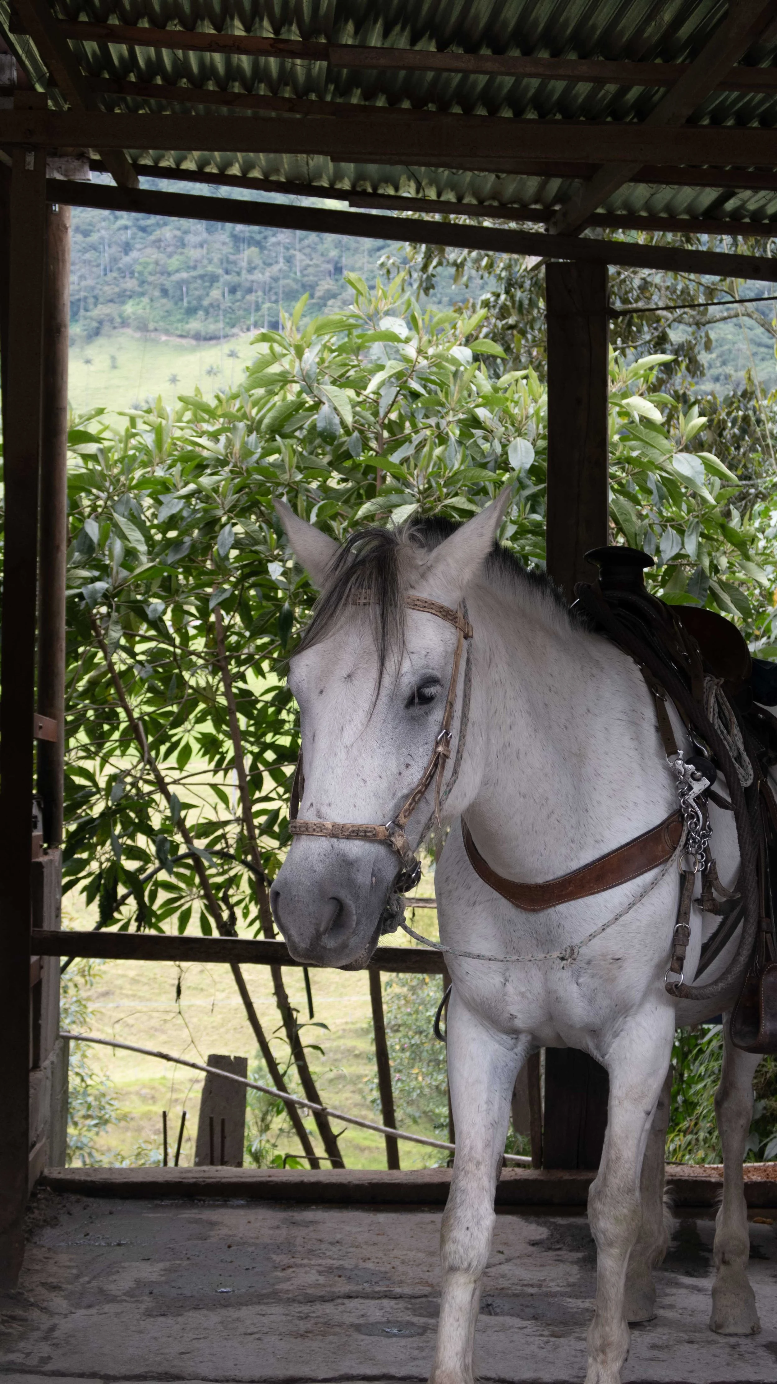 Salento Cocoro Valley-200.jpg