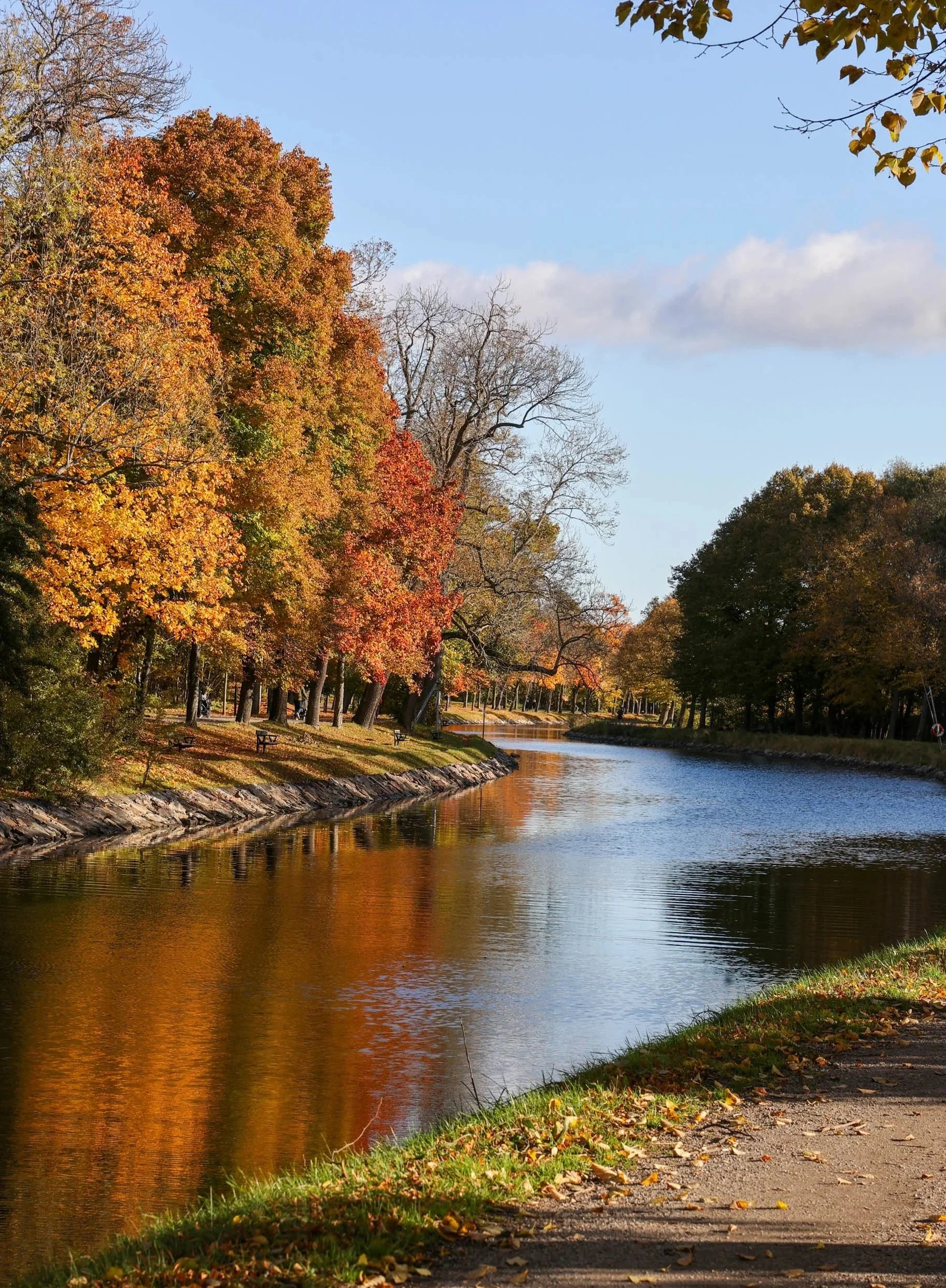 Djurgården Loop
