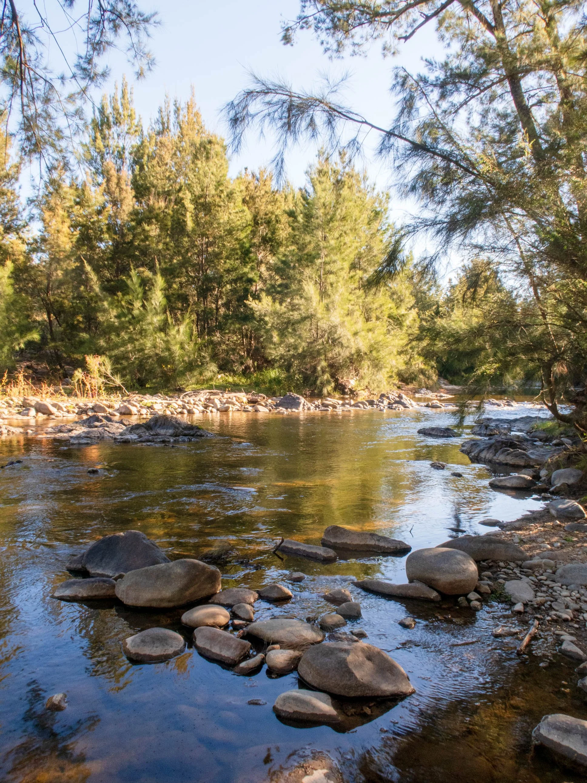 Cotter Reserve-2622.jpg