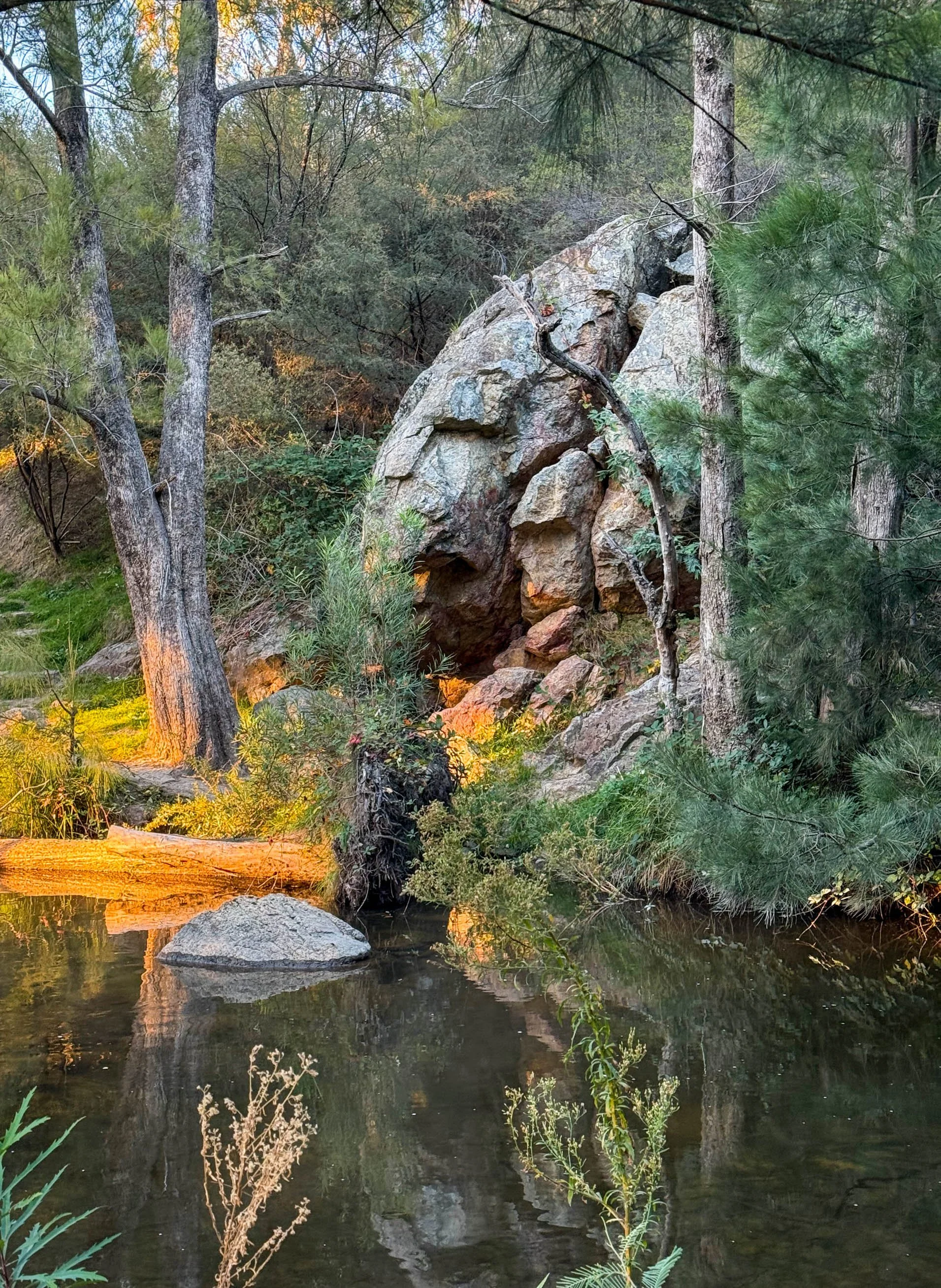 Cotter Reserve and campground-3372.jpg