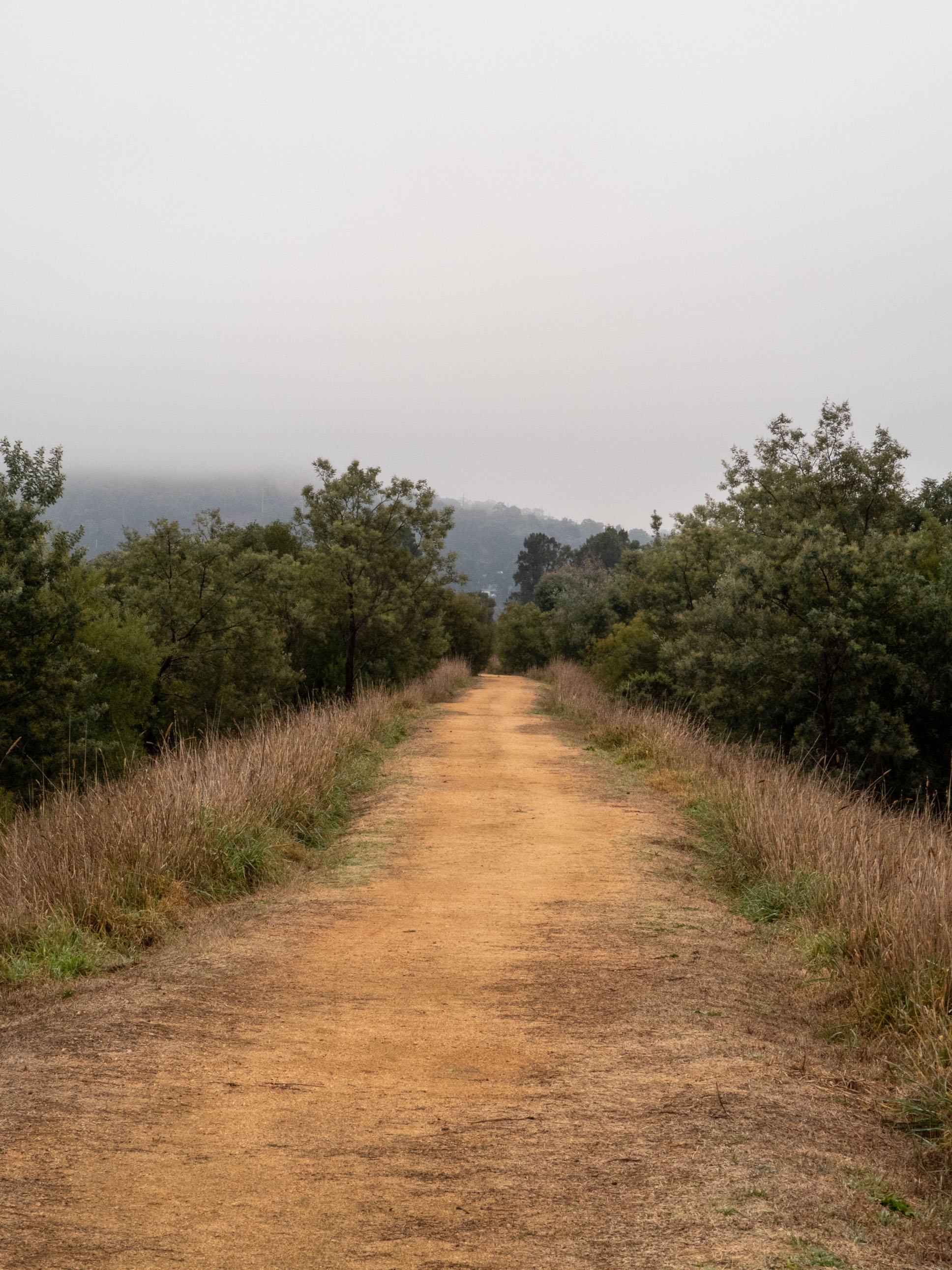 Jerrabomberra Wetlands-19.jpg