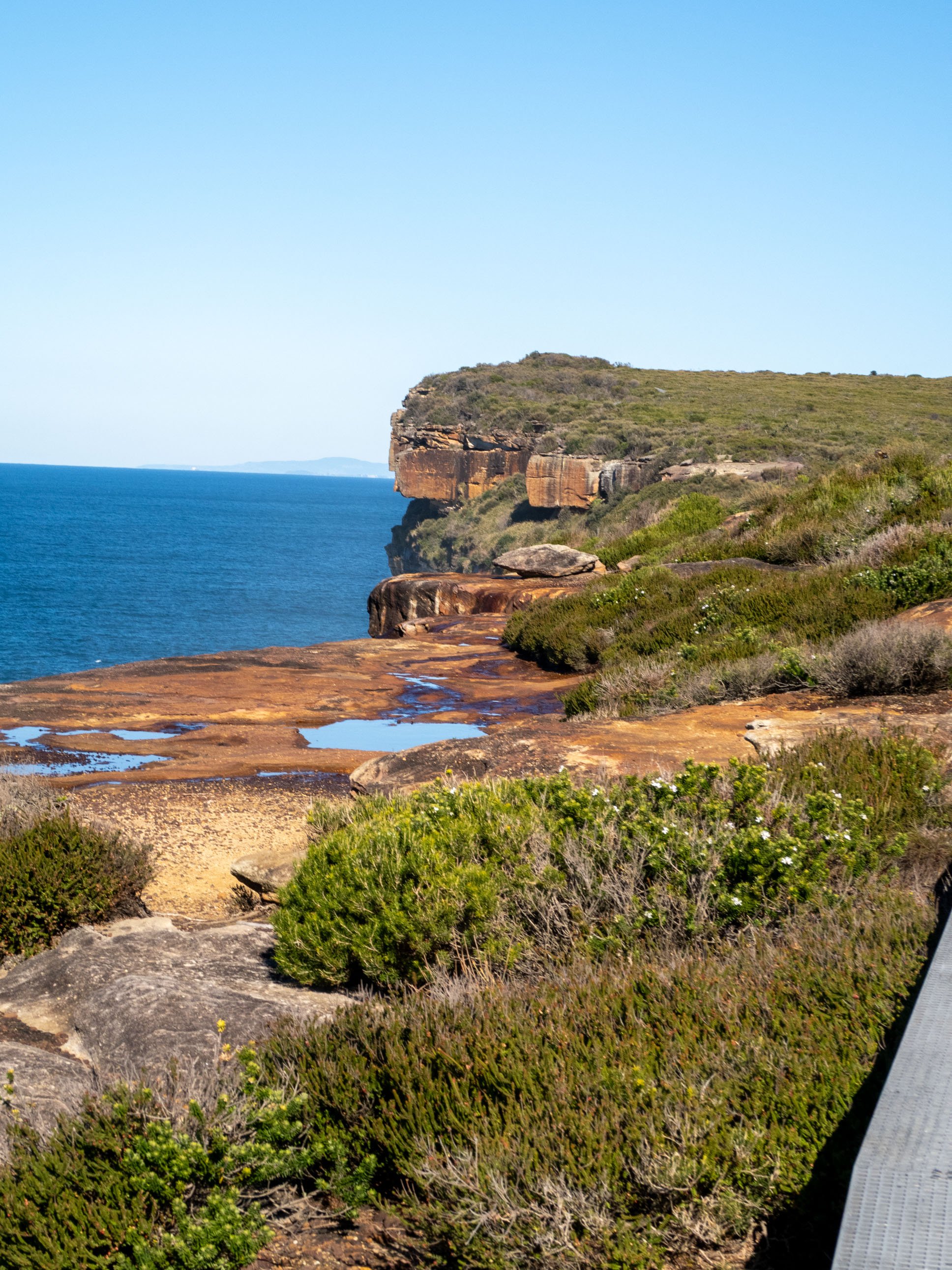 Wattamolla to Eagle Rock RNP-27.jpg