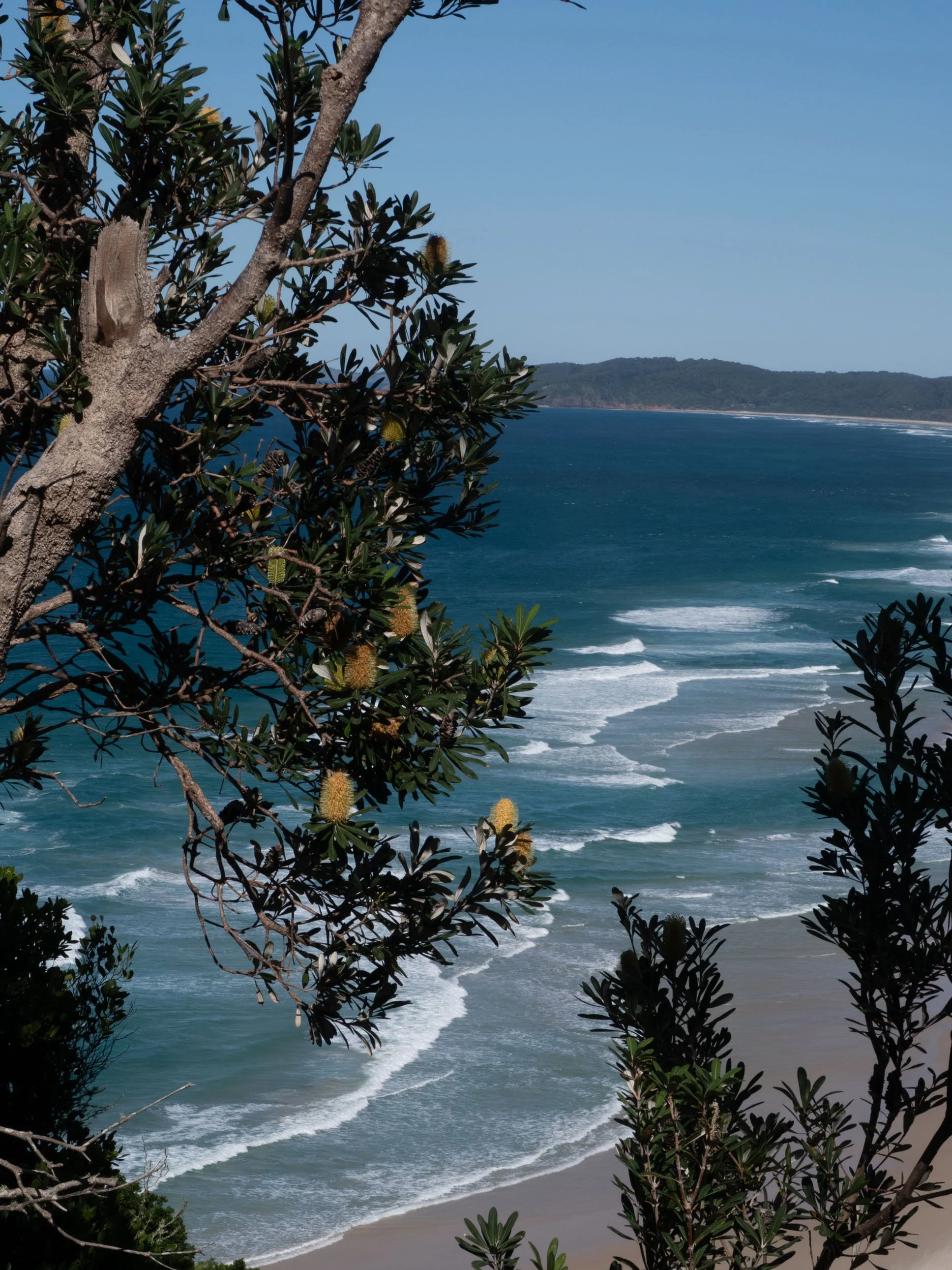 Tallow Beach