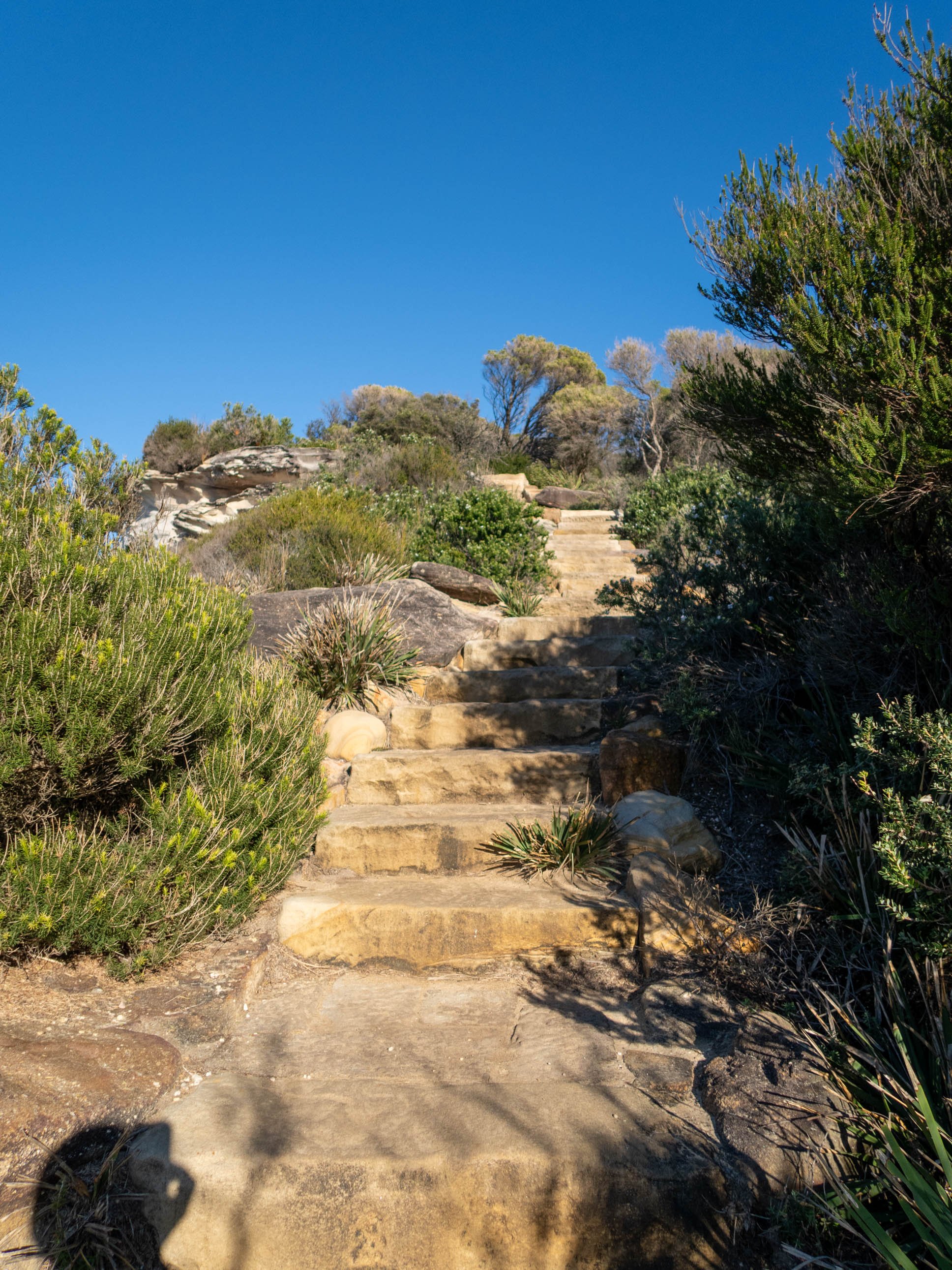 Wattamolla to Eagle Rock RNP-7.jpg