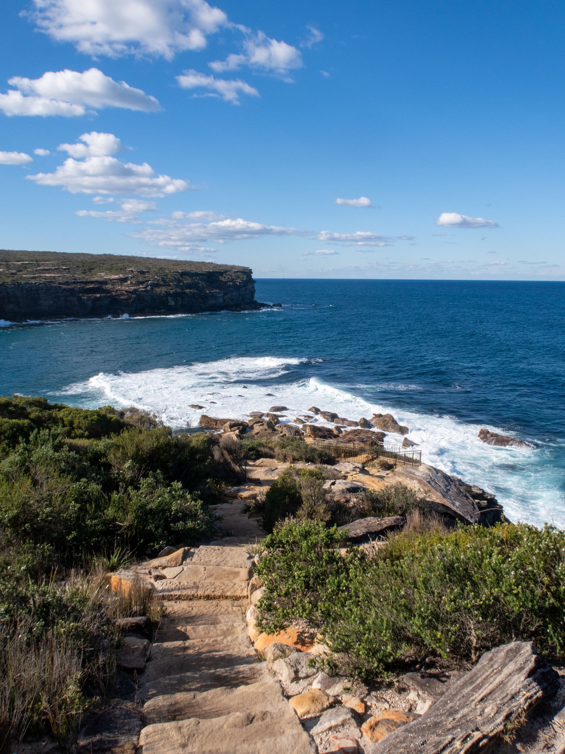 Wattamolla to Eagle Rock RNP-65.jpg