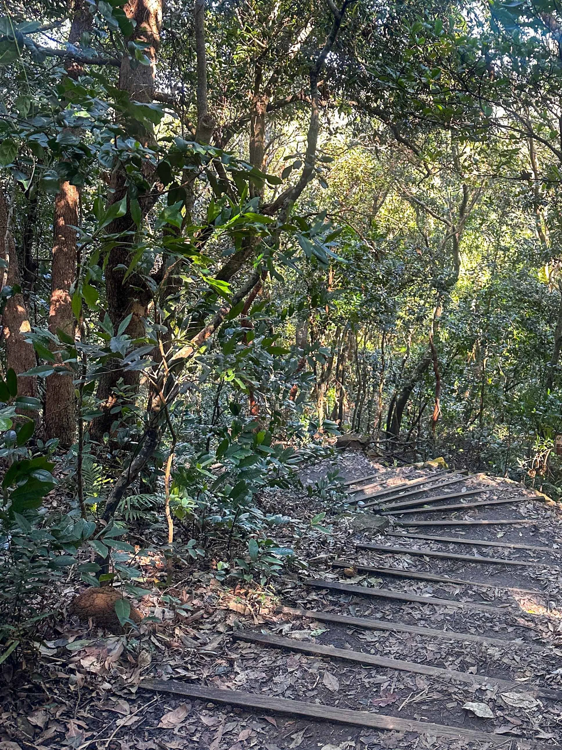Cape Byron Lighthouse Walk-41.jpg