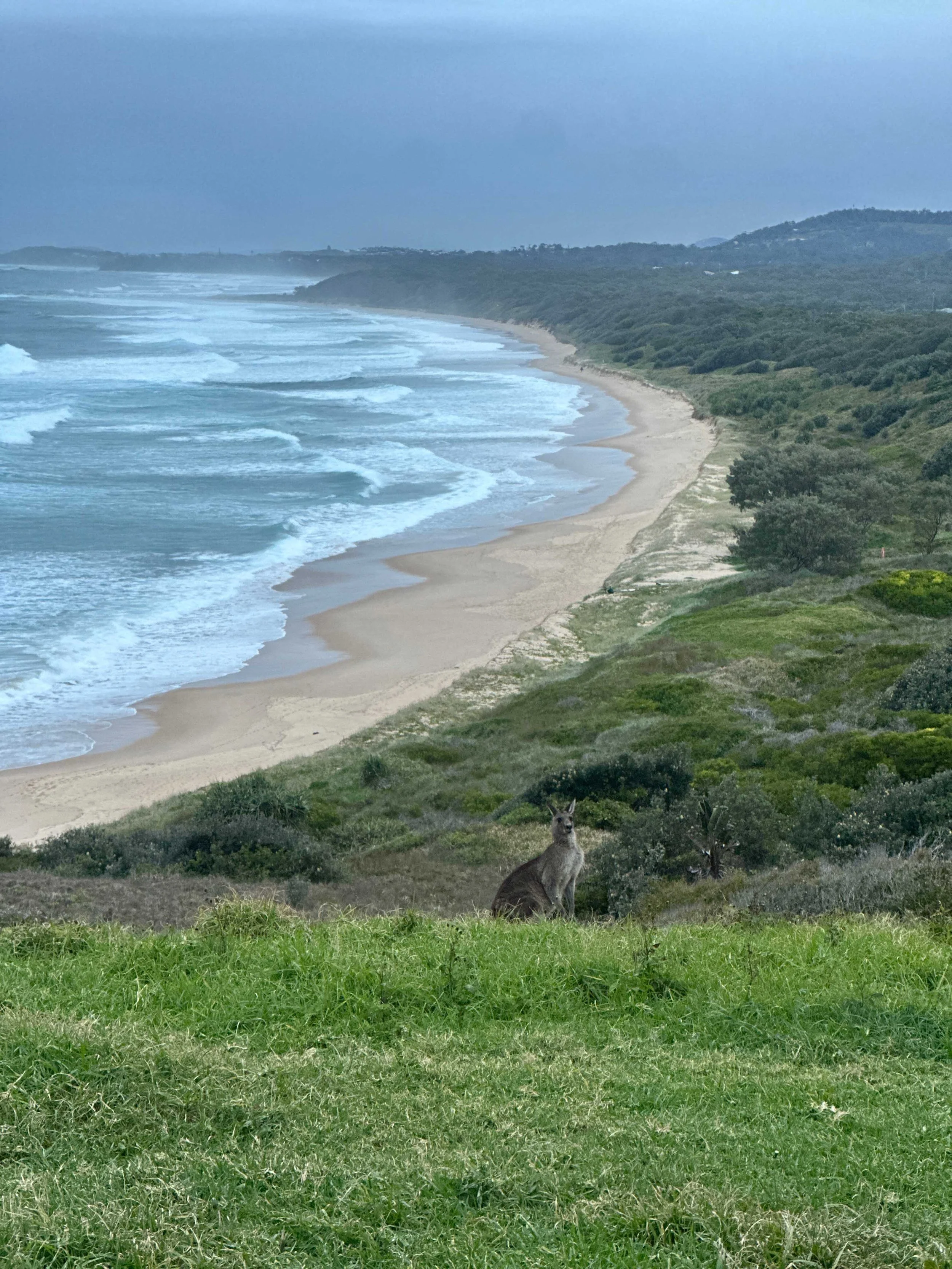 Woolgoolga Headland Walk-2.jpg