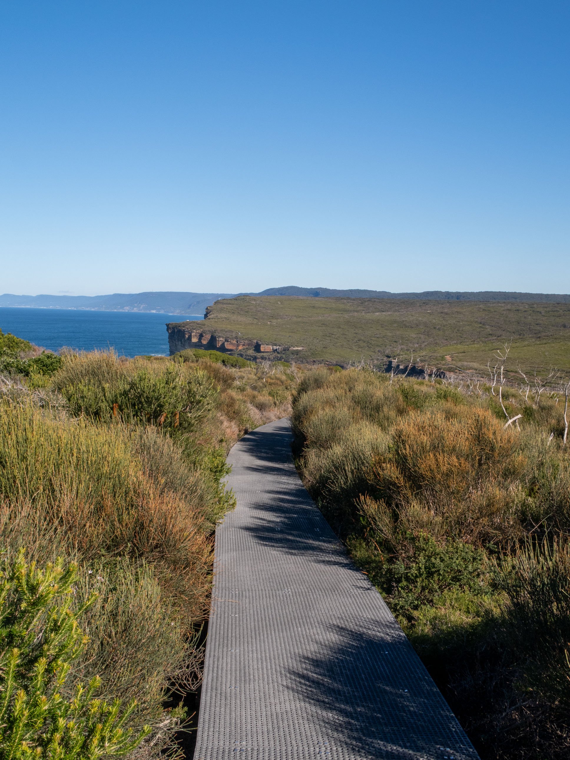 Wattamolla to Eagle Rock RNP-19.jpg