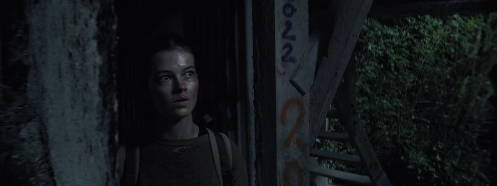 HIRE A SCRIPT CONSULTANT