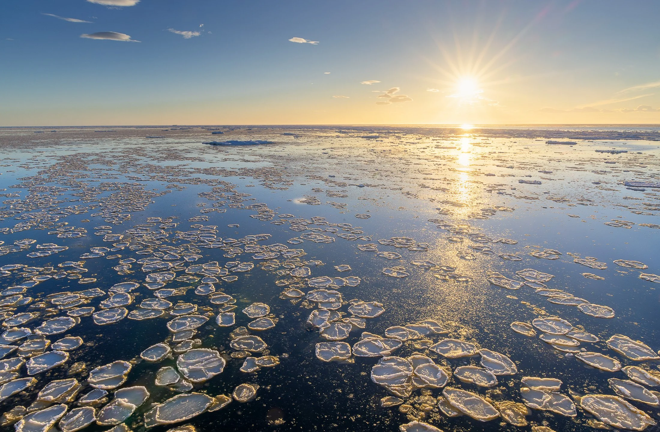 A bright sunburst glows over a vast field of floating pancake ice, casting golden reflections across calm Antarctic waters.