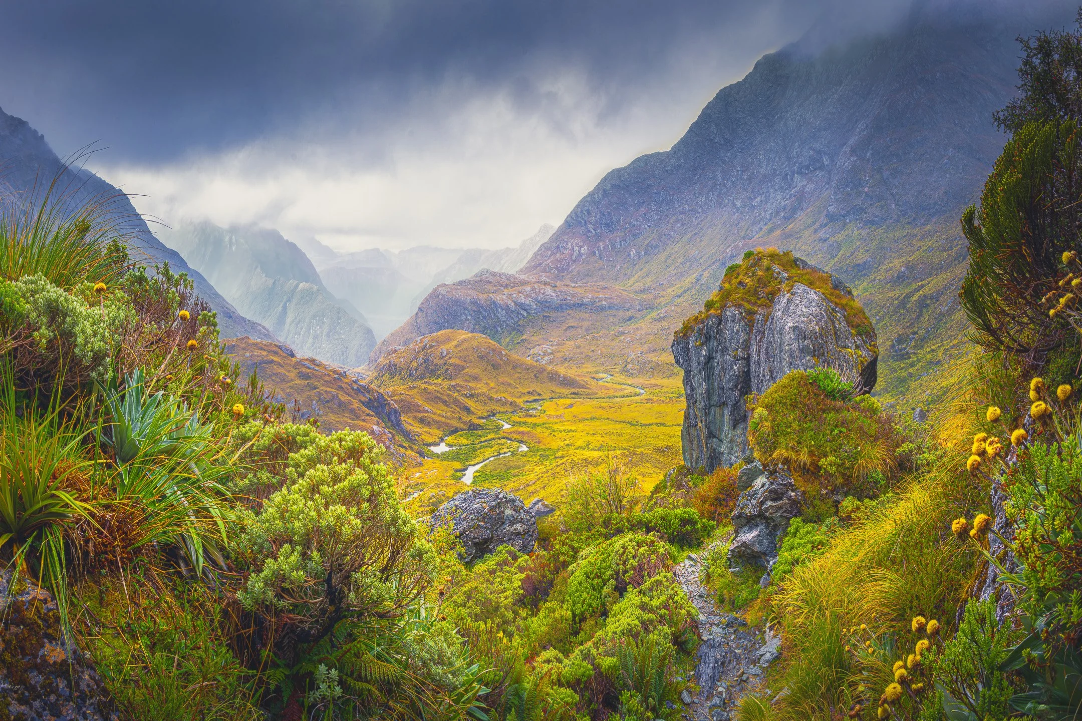 Alpine plants and moss-covered boulder frame a rocky trail above the Routeburn Left Branch, Southern Alps, New Zealand
