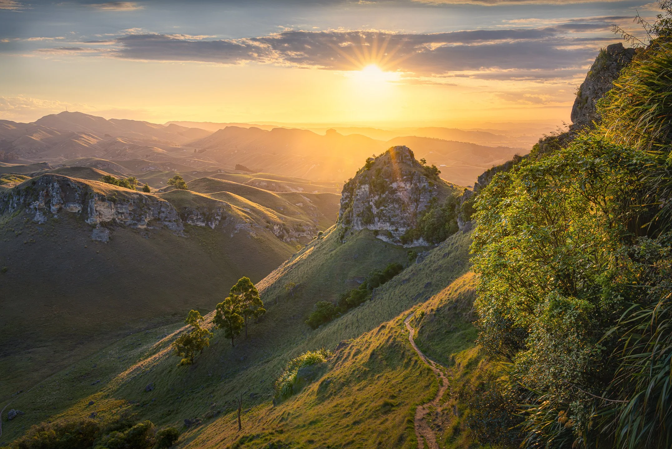 Sun star breaking through cloud in Te Mata Park, Havelock North, New Zealand