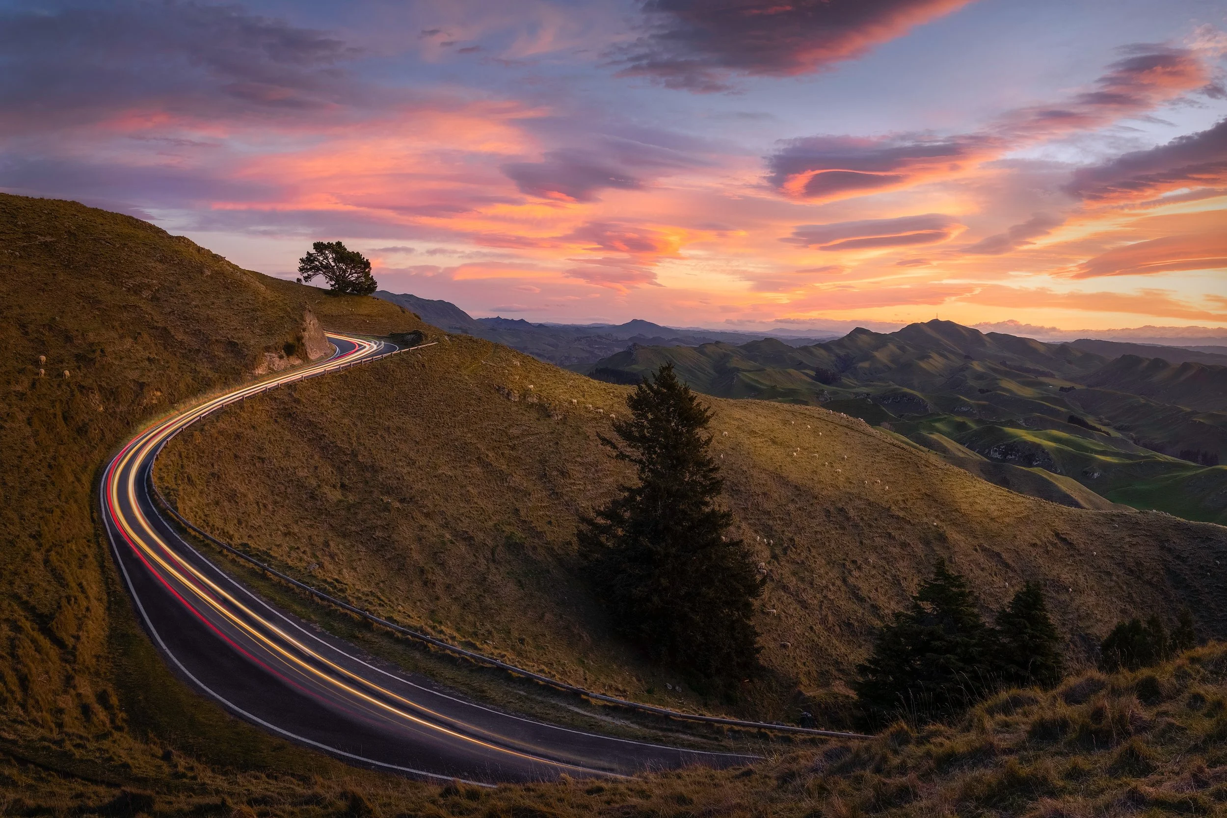 The trails of cars going up and down the Te Mata Peak Lookout at sunset, with the Anzac Tree and Mount Erin in the background.