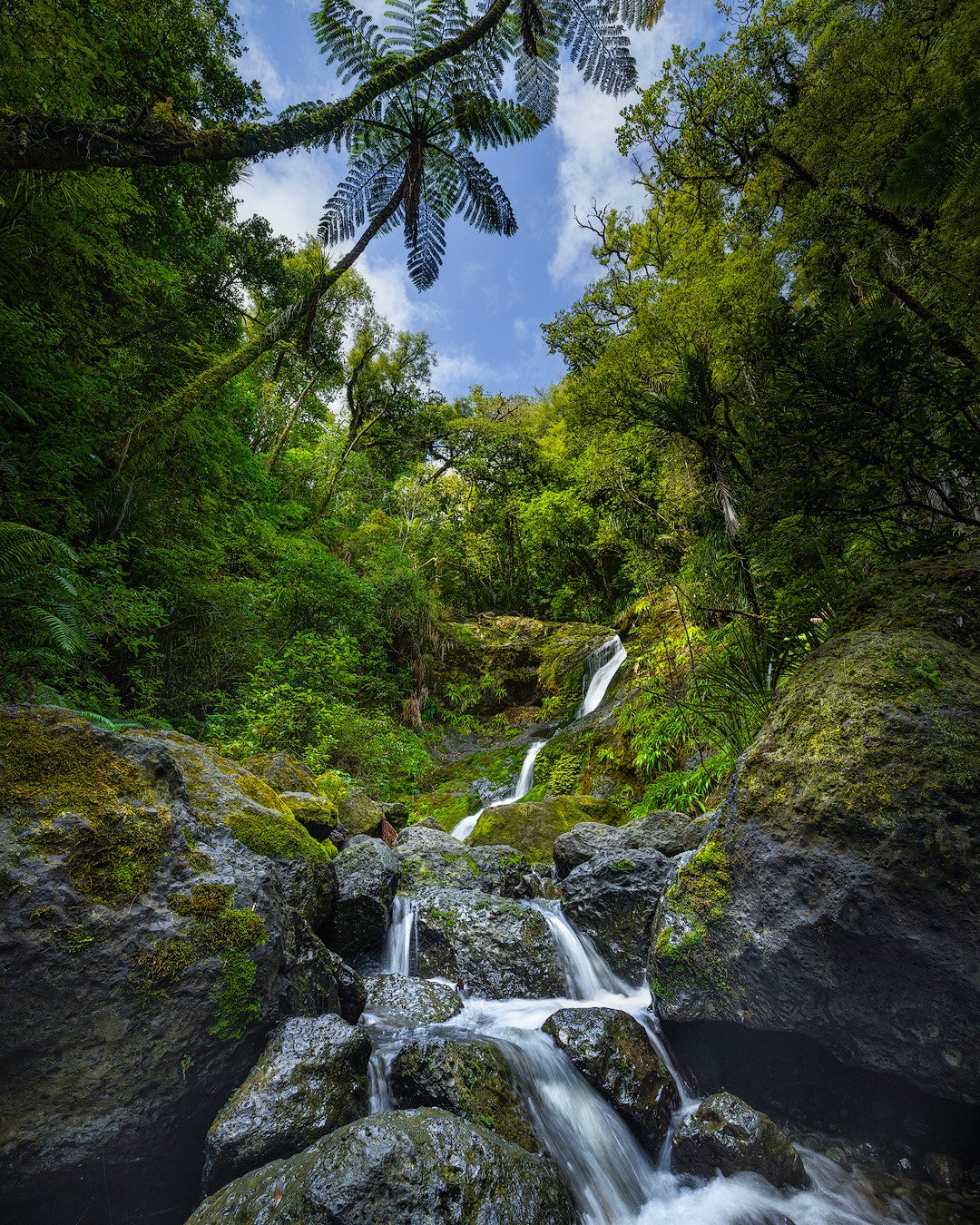 Waiotemarama Falls.

This waterfall was an unexpected find while exploring the west coast of Northland recently. The Waiotemarama Falls are accessible via a short walk through the forest. As you approach the falls, you'll be greeted by the soothing s