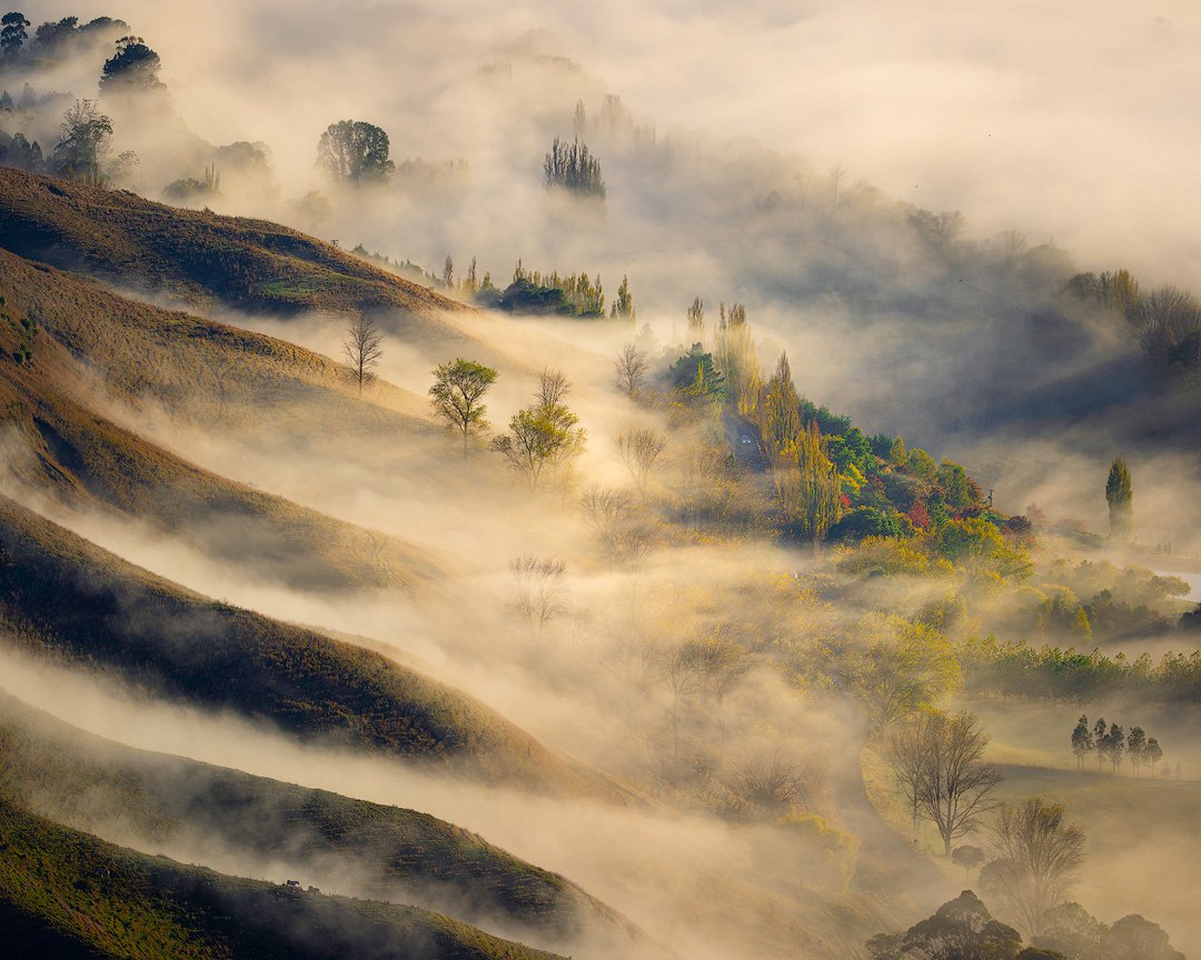 Ethereal Valley - Hawke's Bay, NZ.

Earlier this week, the early morning mist transformed the Tukituki Valley as seen from Te Mata Peak into something that felt out of this world.