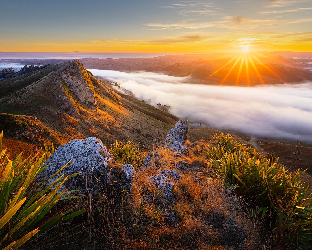 Eternal Sunrise - Te Mata Peak, Hawke's Bay, NZ.

The sunrise from Te Mata Peak didn't disappoint this last week; so many foggy starts to the day and the sun usually showed itself at the right time.