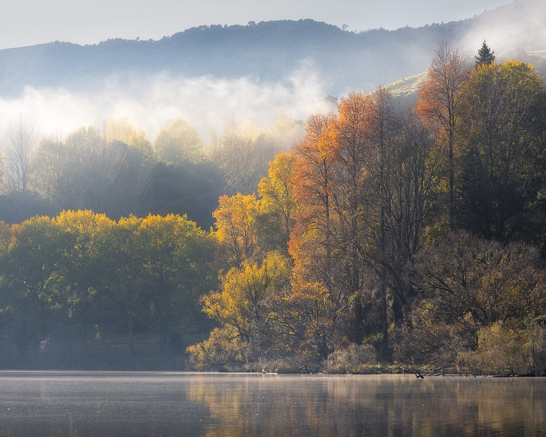 Ochre and Radiance - Lake Tutira, Hawke's Bay, NZ (2025).

In this serene scene from Lake Tūtira, autumn trees glow in soft morning light, their foliage shifting from golden yellow to burnt orange and deep ochre. Mist rises delicately from the lake&r