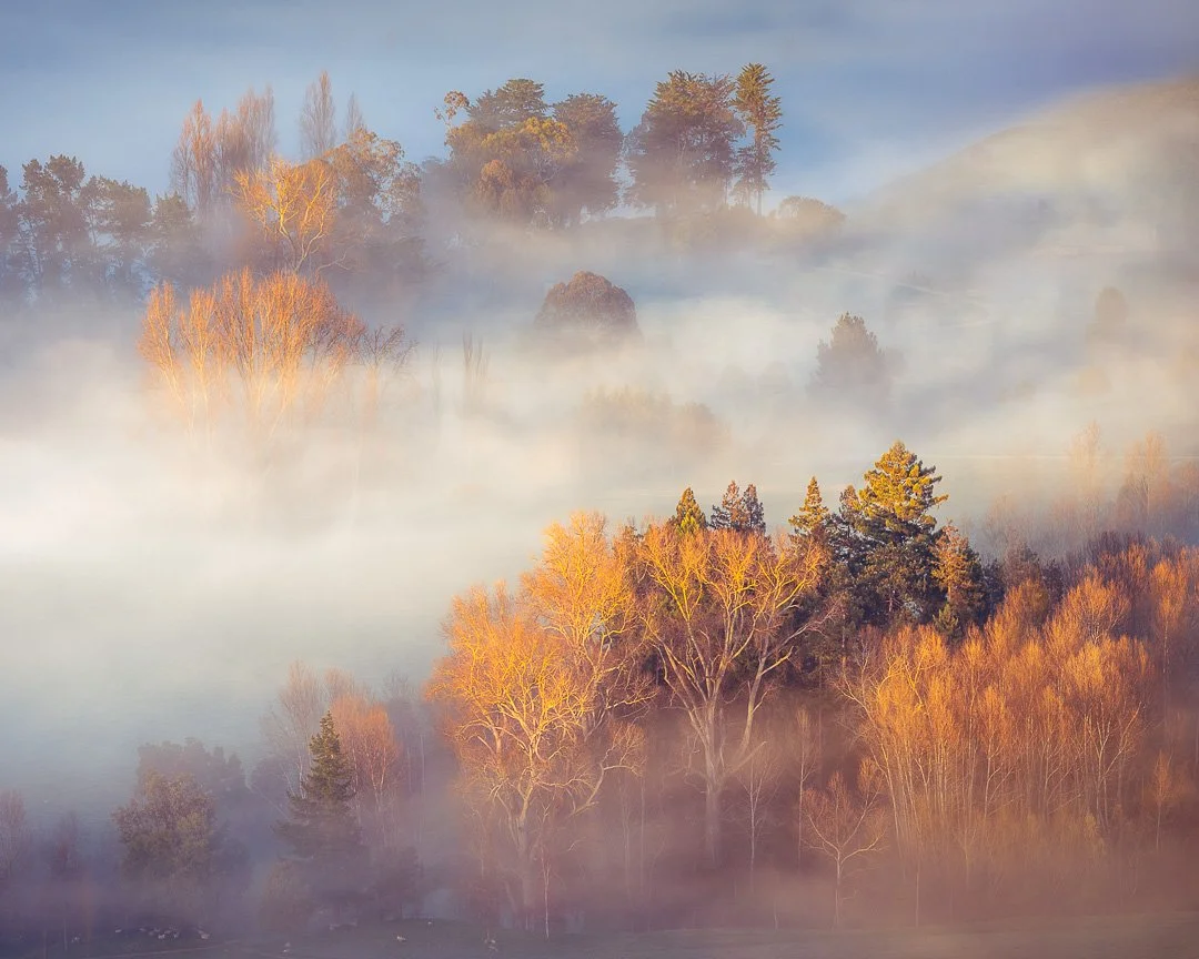 Golden Crowns in Fog - Hawke's Bay, NZ.

One image, three moods &mdash; natural, low-key, and high-key. Subtle tonal shifts can completely transform how a photo feels. Curious how? Check out my latest article on mastering Lightroom&rsquo;s Tone contr