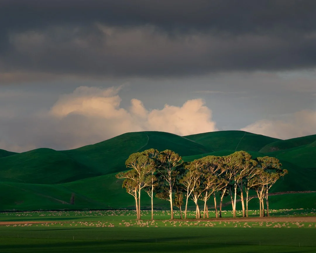 The Bay in Focus (3) - Landscapes of Hawke&rsquo;s Bay, bathed in golden light, softened by drifting mist, and alive with ever-changing moods. This series celebrates the beauty of our region, and you can experience it in person during Fotofest 2025 &
