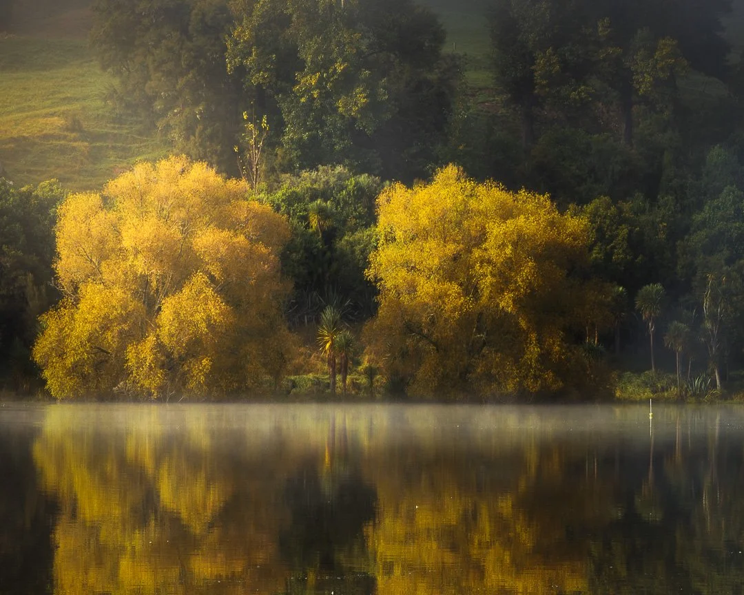 The Bay in Focus &ndash; My Hawke&rsquo;s Bay landscapes will be on show at Creative Arts Napier (CAN) as part of Fotofest 2025, with over 60 exhibitions and endless  inspiration.

Opening this Friday, 19 Sept &ndash; 2 Oct.

👉 Prints available at C