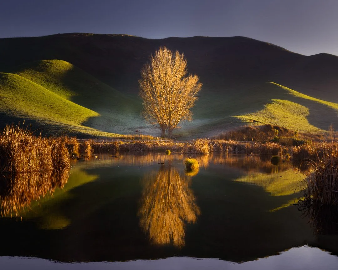 Fotofest is happening now! My landscape shots are on display at CAN, alongside some truly amazing work by other photographers. Pop by before October 2nd to have a look &ndash; it&rsquo;s well worth it!

Check out @fotofest_hawkes_bay  for more info.