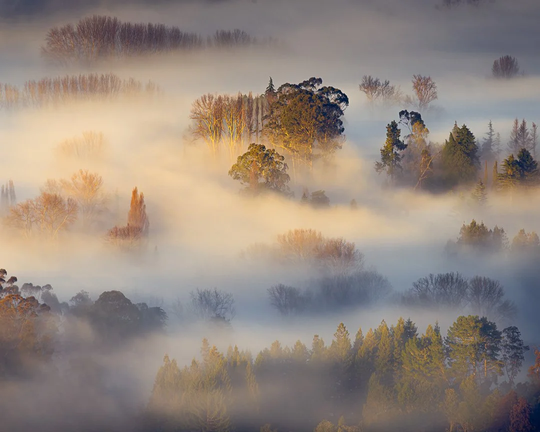 A Foggy Bay in Focus 🌫️✨
I hope you had a chance to enjoy the perfect weekend for exploring the many Fotofest exhibitions across Havelock North, Hastings, and Napier. I certainly did&mdash;it was inspiring to see such a variety of photographic style