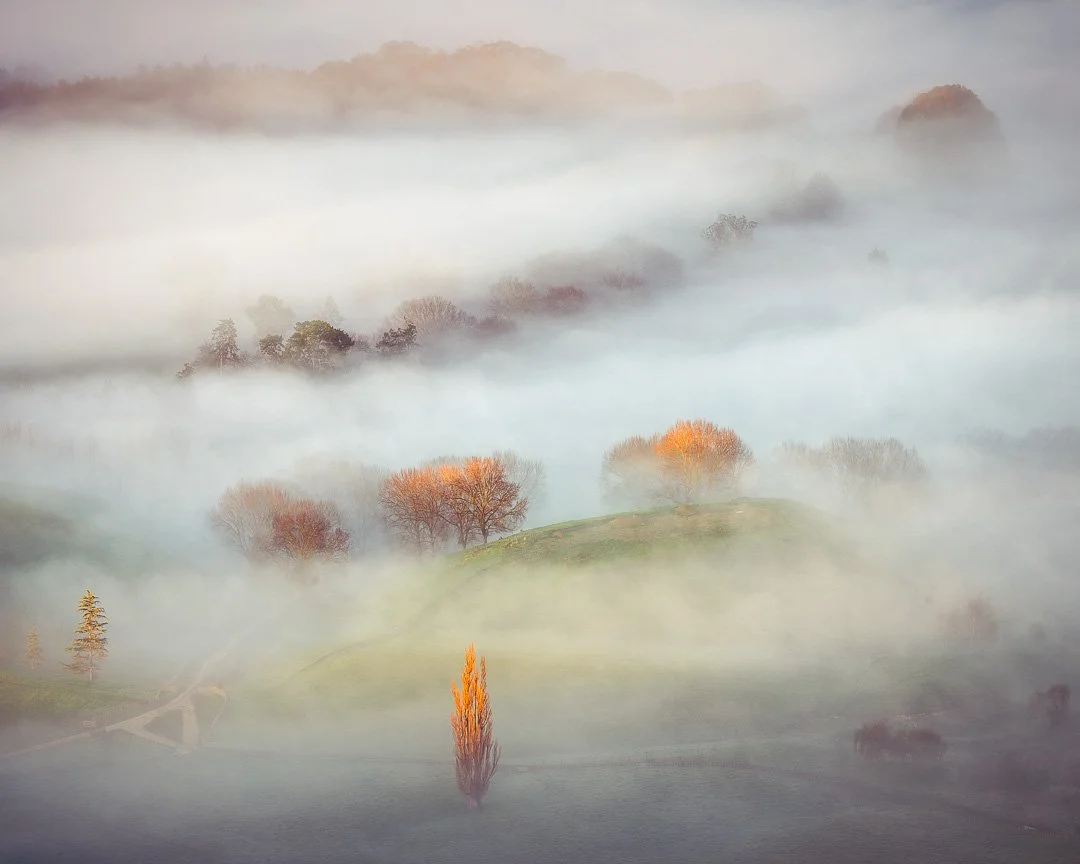 Layers of Stillness in Hawke's Bay, NZ.

Slow mornings of mist and muted light, where the hills soften into one another and trees appear and disappear with every shift of haze.