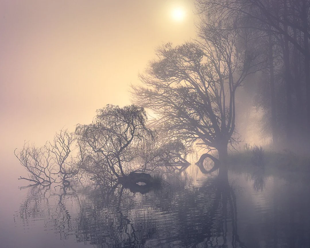 Trees in Mist &mdash; Favourite Moments of 2025.

Some of my favourite moments making images this year were spent among trees wrapped in mist. All of these images were made in Hawke&rsquo;s Bay, during slow-clearing mornings when the land reveals its
