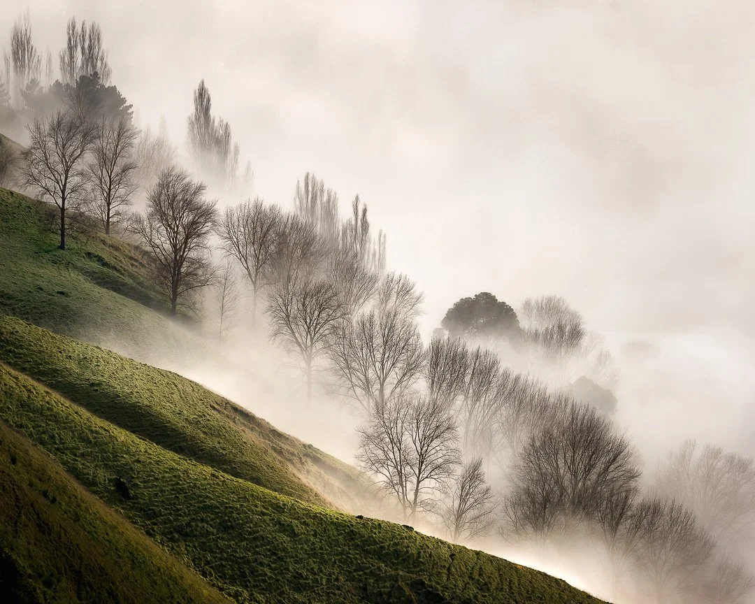 Diagonal of Protection - Te Mata Peak, Hawke's Bay.

Two seasons, one quiet boundary. In winter, bare trees stand in silent formation, holding back the fog that pools in the Tukituki Valley below. In warmer months, the same line softens and brightens