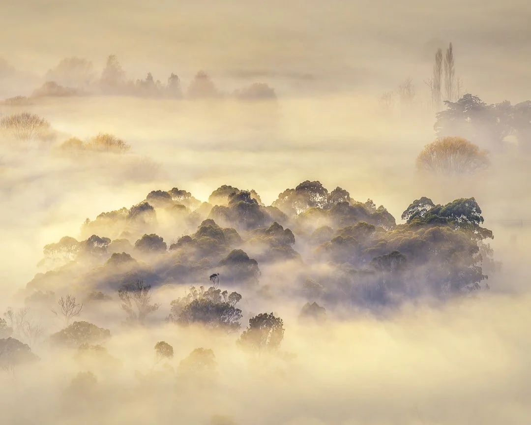 Island of Trees - Tukituki Valley, Hawke's Bay.

A quiet oval of trees gathers at the heart of the Tukituki Valley, held together by drifting autumn mist. In these moments, fog shapes the land as much as it obscures it, turning form into the moment&r