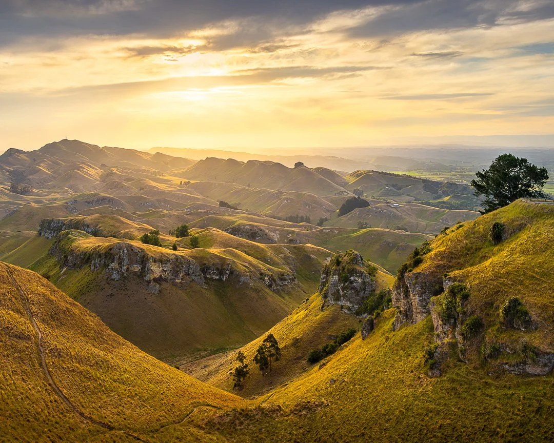 Walking The Park - Hawke's Bay.

A collection of photos I have taken while walking in Te Mata Park.