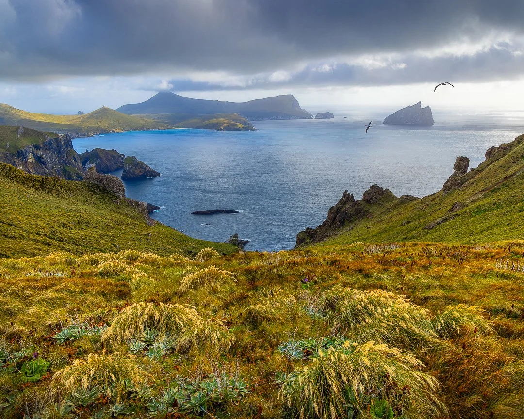 Between Land and Sky - Campbell Island, New Zealand.

Wind moves through the grasses, then across the land, and out to sea. On Campbell Island, Southern Royal Albatross follow these unseen paths, gliding between land and sky as light shifts over the 