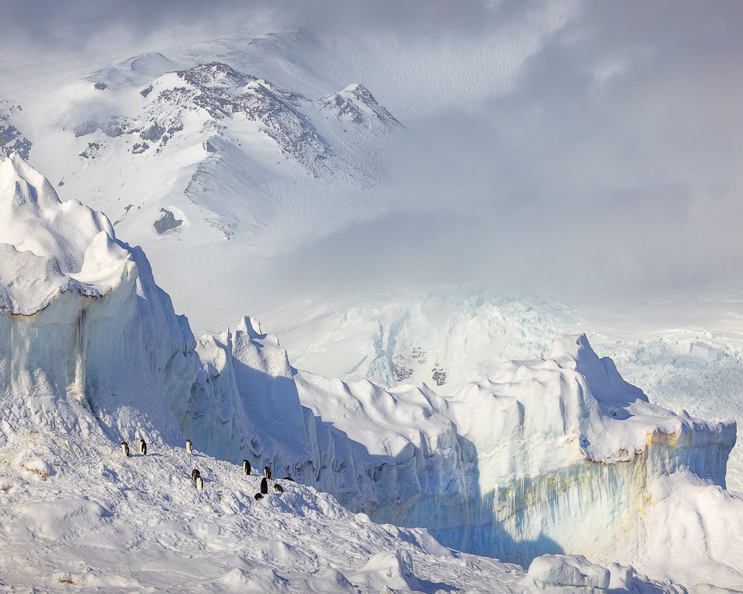 Living Ice Landscapes &ndash; Ross Sea.

Ad&eacute;lie penguins on massive icebergs &mdash; so small they read first as marks, then as movement, and only finally as life. Scale is everything in Antarctica.

From the upcoming Ross Sea series. 🧊