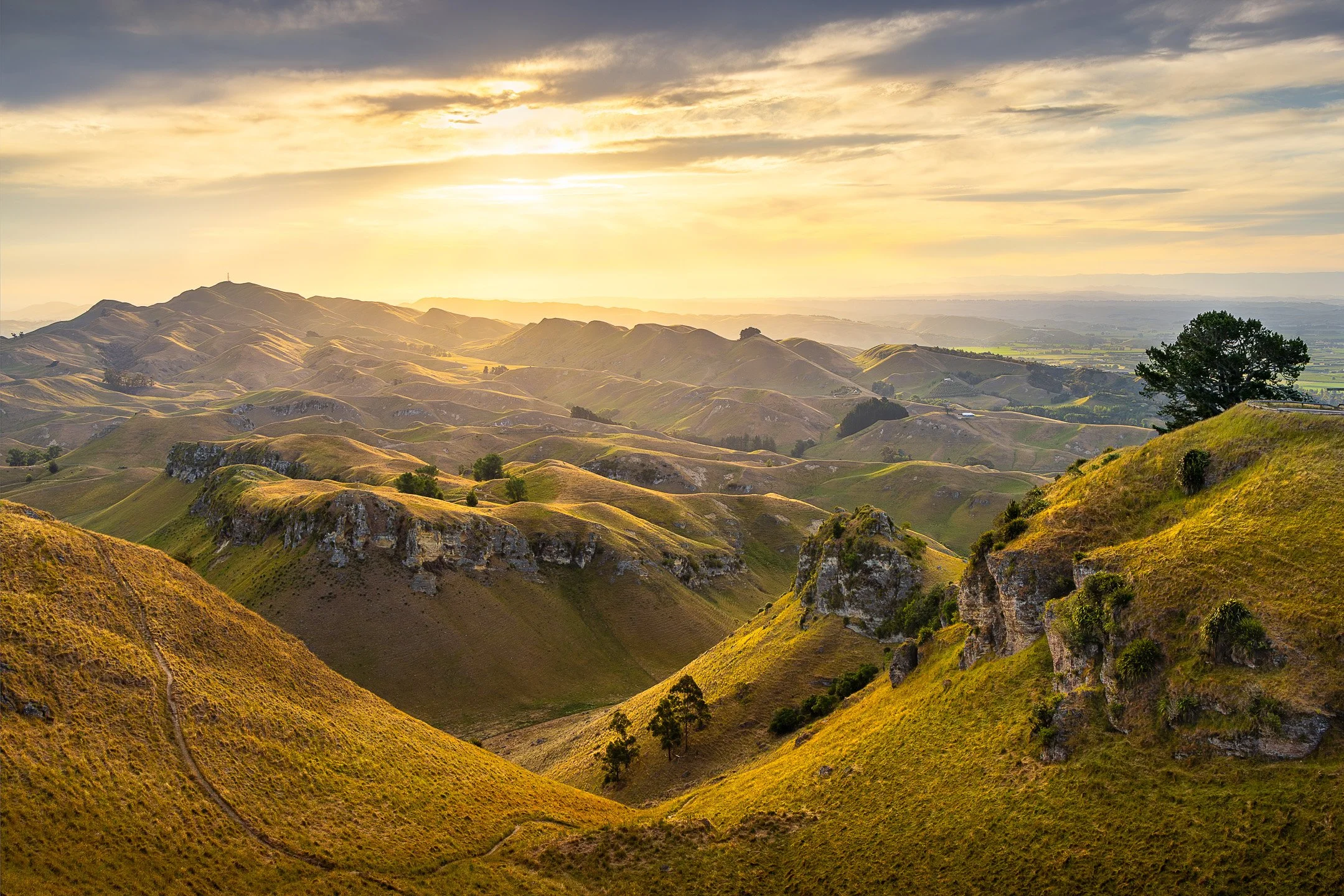 Rolling to Mount Erin | Te Mata Park, Hawke's Bay