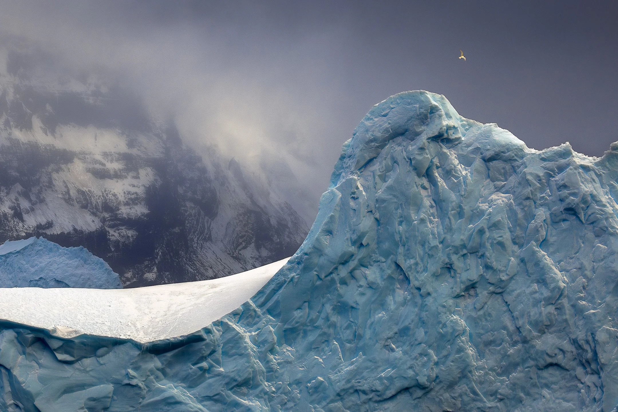 Mist moves across the peak of an iceberg near the Balleny Islands, Antarctica, with a volcanic mountain half-dissolved in cloud behind it and a single seabird barely visible against the grey sky above.