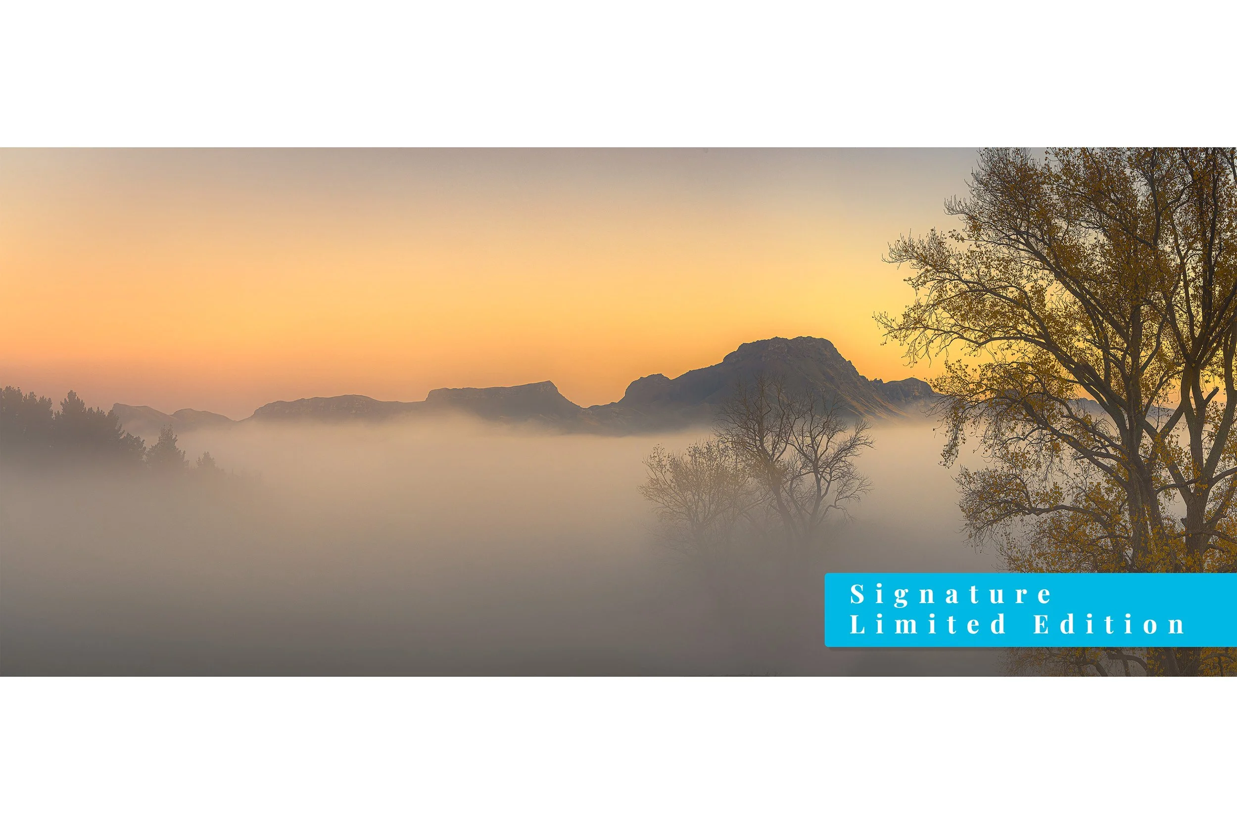 Weightless | Tukituki Valley, Hawke's Bay