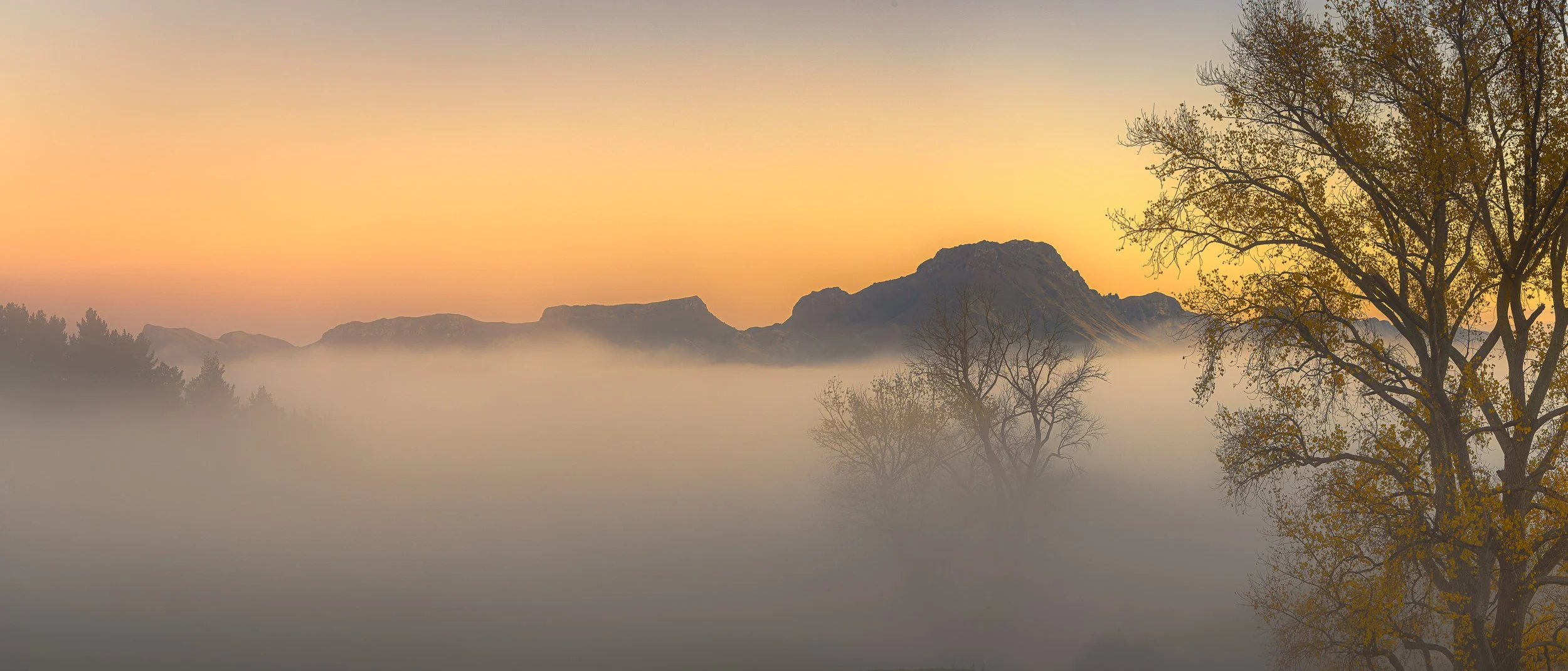 Sunrise over the Tukituki Valley and Te Mata Peak, Hawke's Bay, New Zealand, with autumn fog covering the valley floor and trees emerging from the mist.