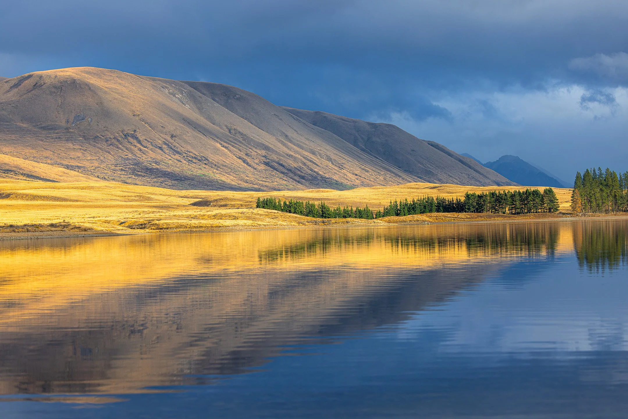 Storm clouds breaking over golden tussock hills and pine tree line at Lake Camp, Canterbury, New Zealand, with mountains reflected in still lake water