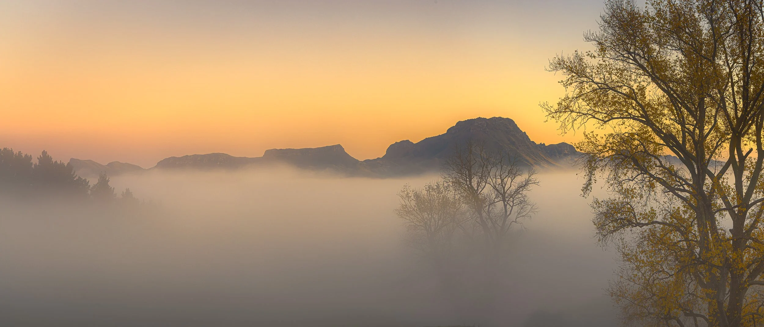 Sunrise over the Tukituki Valley and Te Mata Peak, Hawke's Bay, New Zealand, with autumn fog covering the valley floor and trees emerging from the mist.