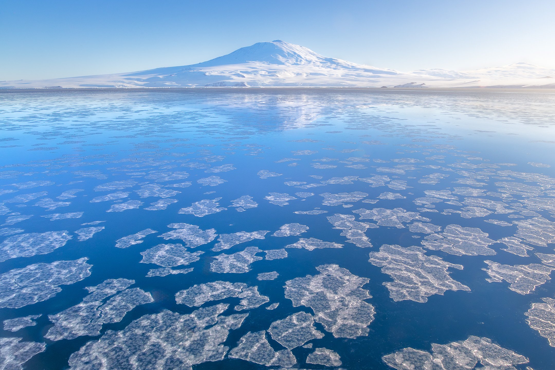 Small, lacy pancake ice floes float on calm blue water, reflecting a distant snow-covered volcano in Antarctica.